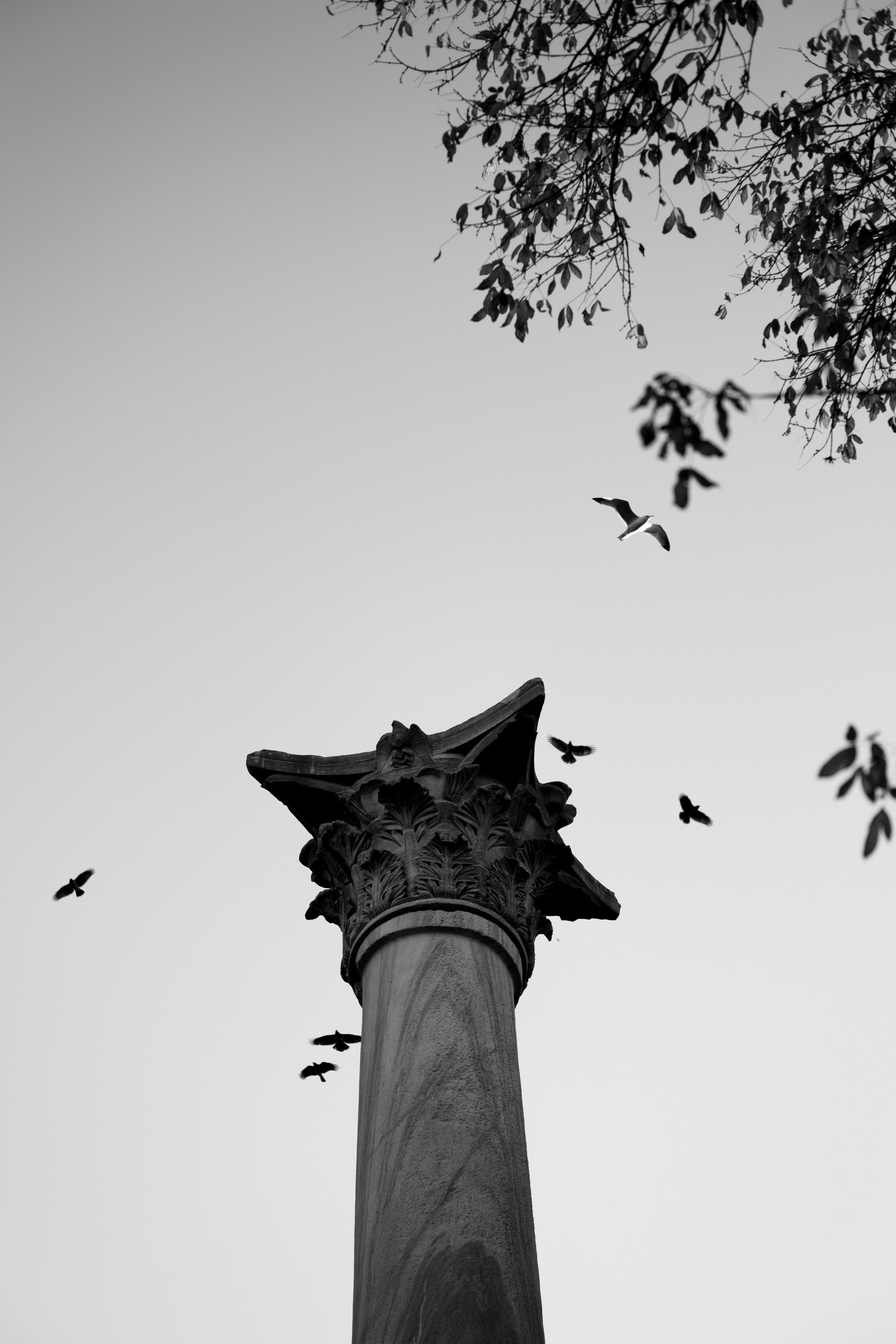 Стамбул. Фотограф Москва, Дима Пеллер