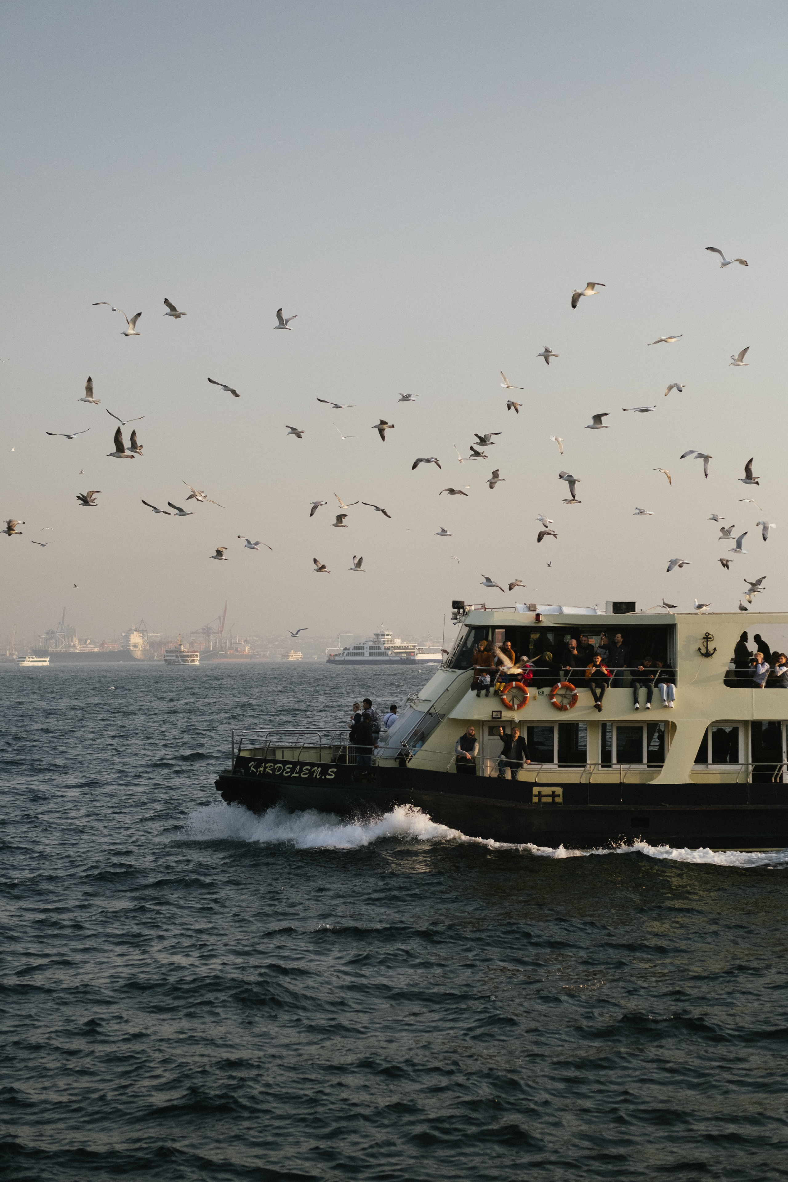 Стамбул. Фотограф Москва, Дима Пеллер