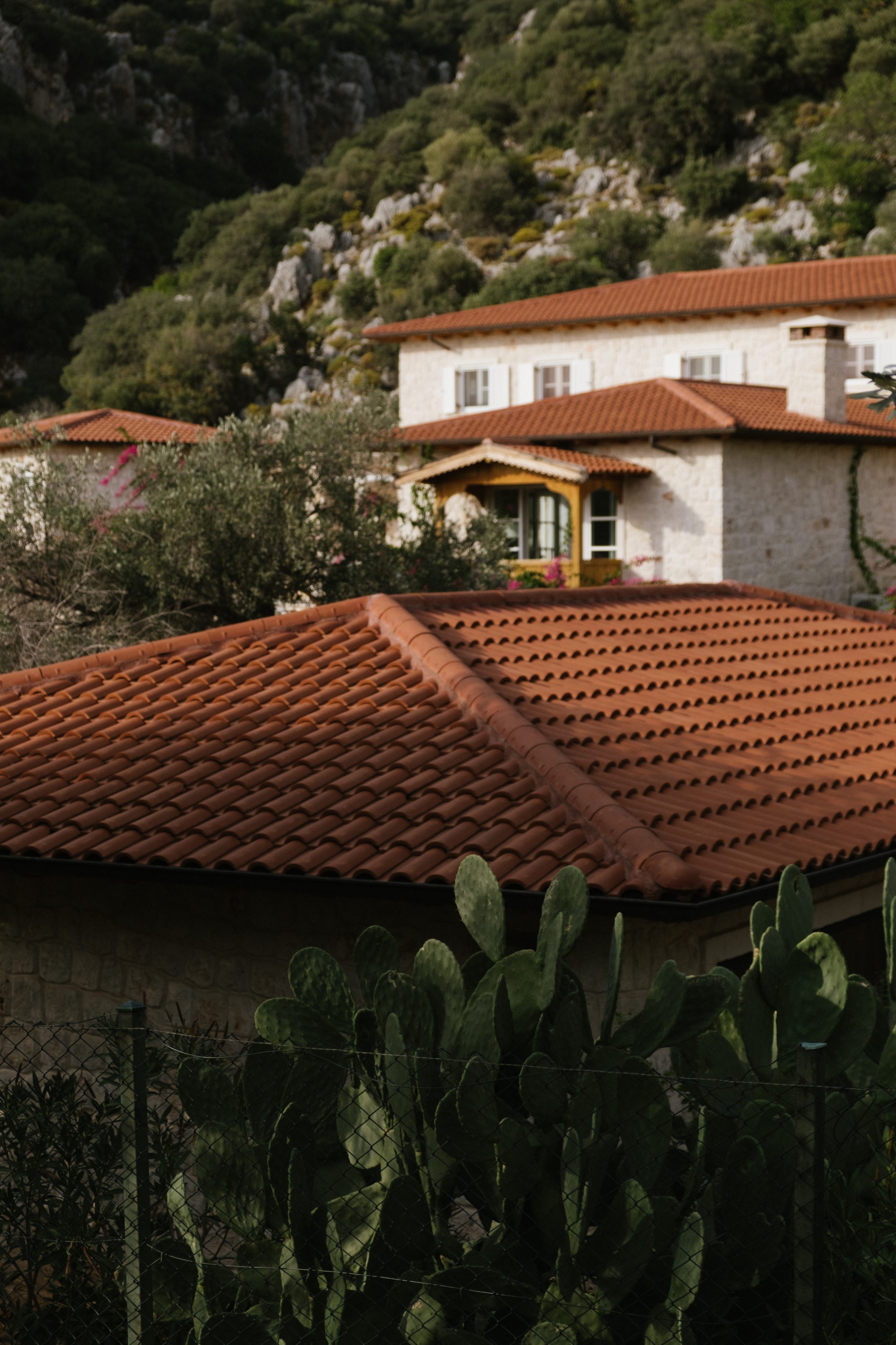 Каш. Фотограф Москва, Дима Пеллер