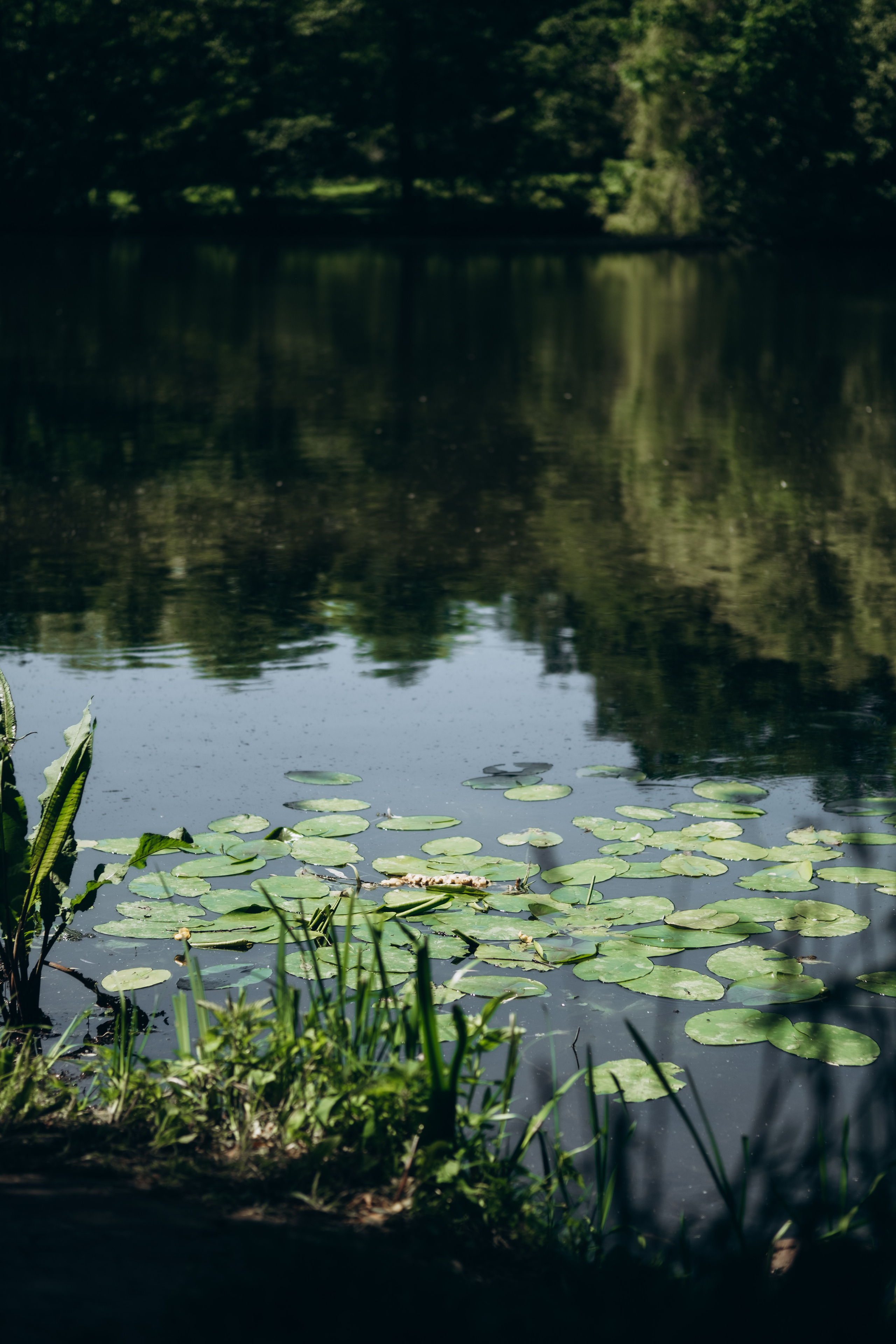 Калининградская область. Фотограф Москва, Дима Пеллер