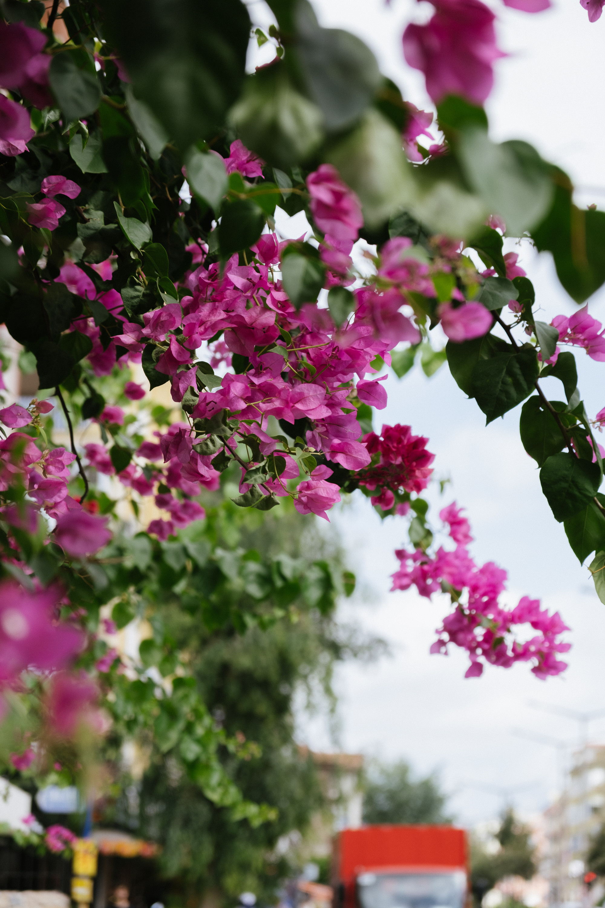 Аланья. Фотограф Москва, Дима Пеллер