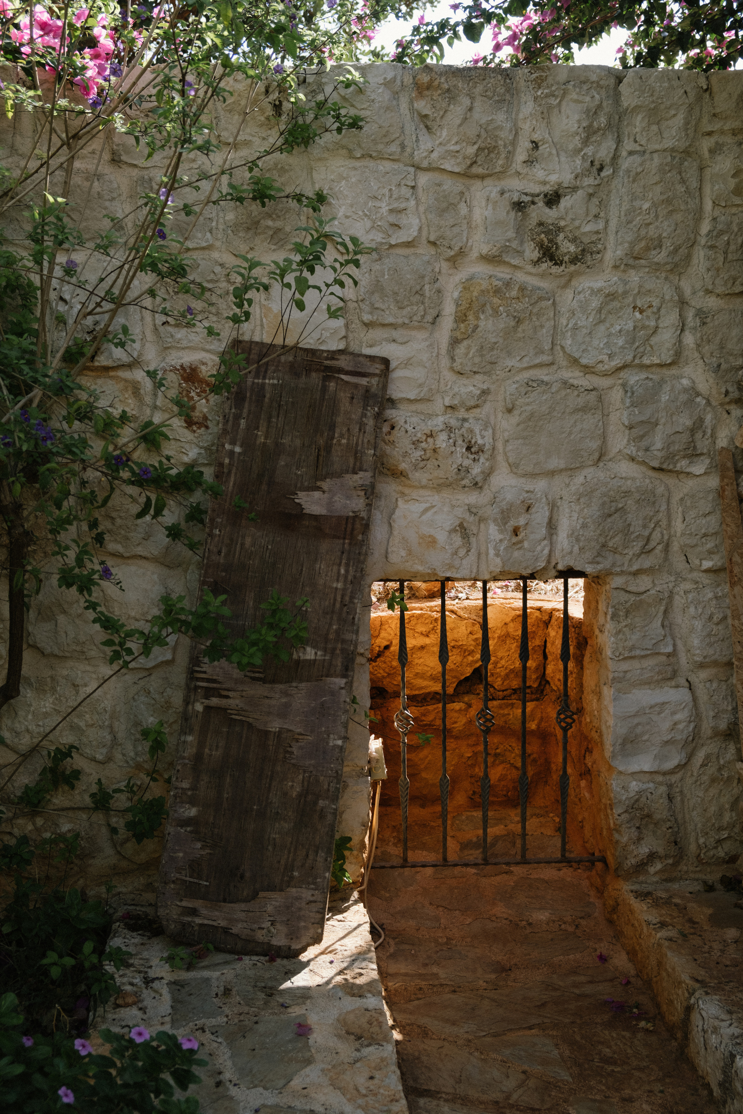 Каш. Фотограф Москва, Дима Пеллер