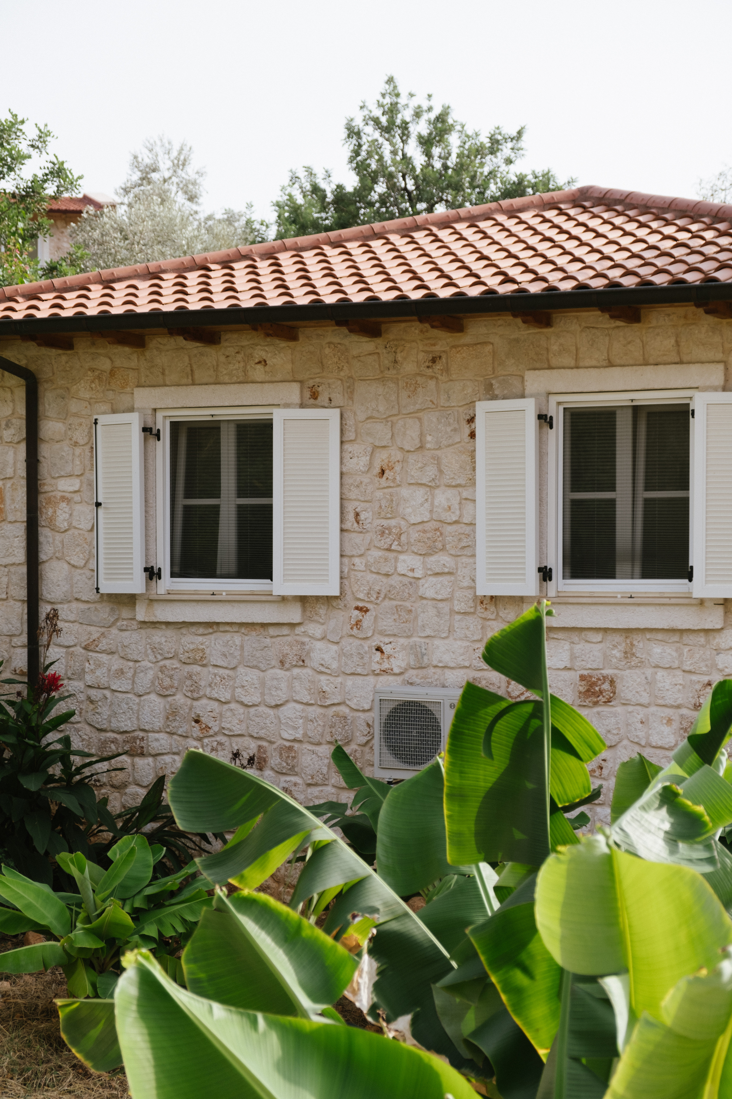 Каш. Фотограф Москва, Дима Пеллер