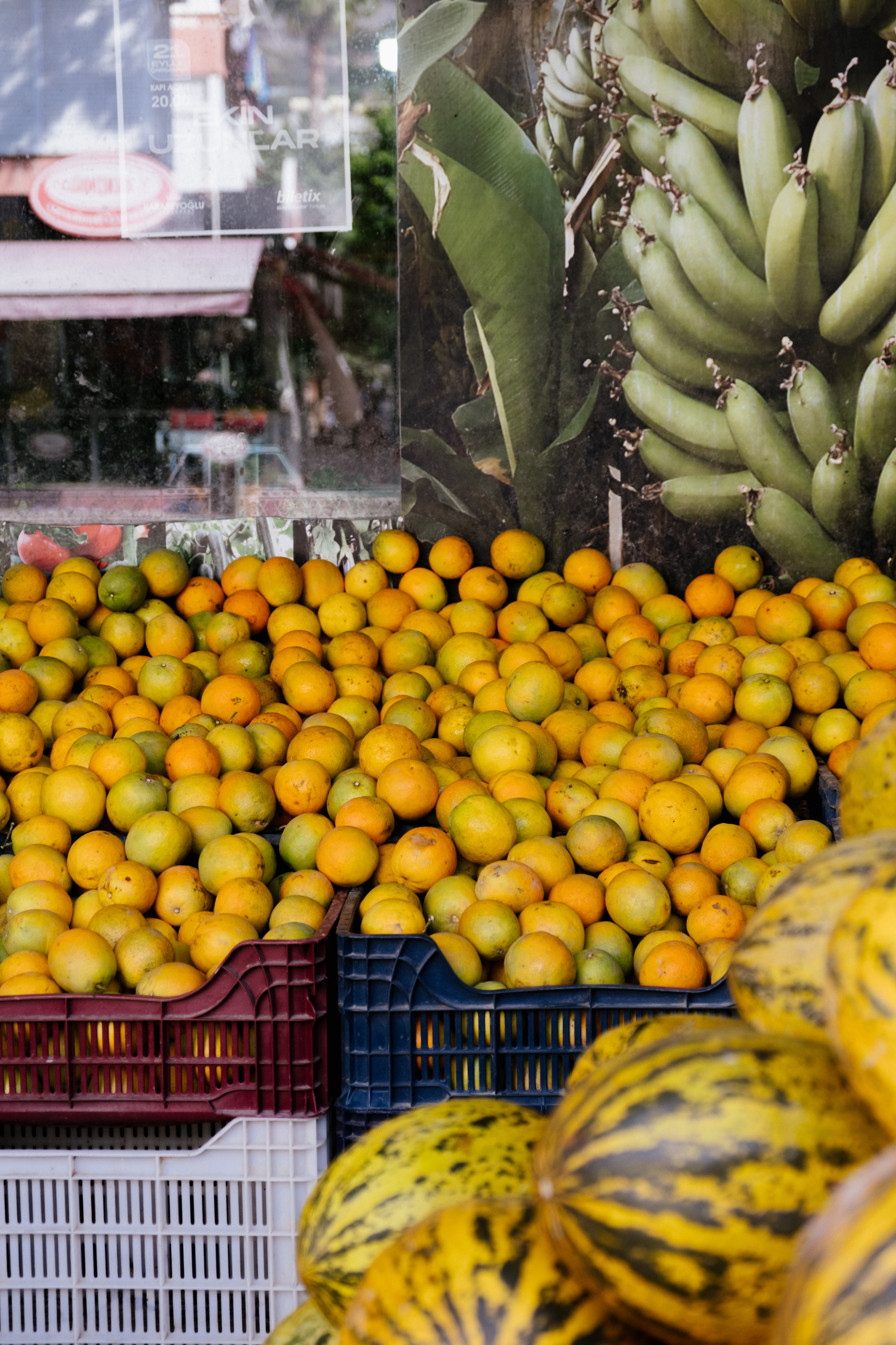 Аланья. Фотограф Москва, Дима Пеллер