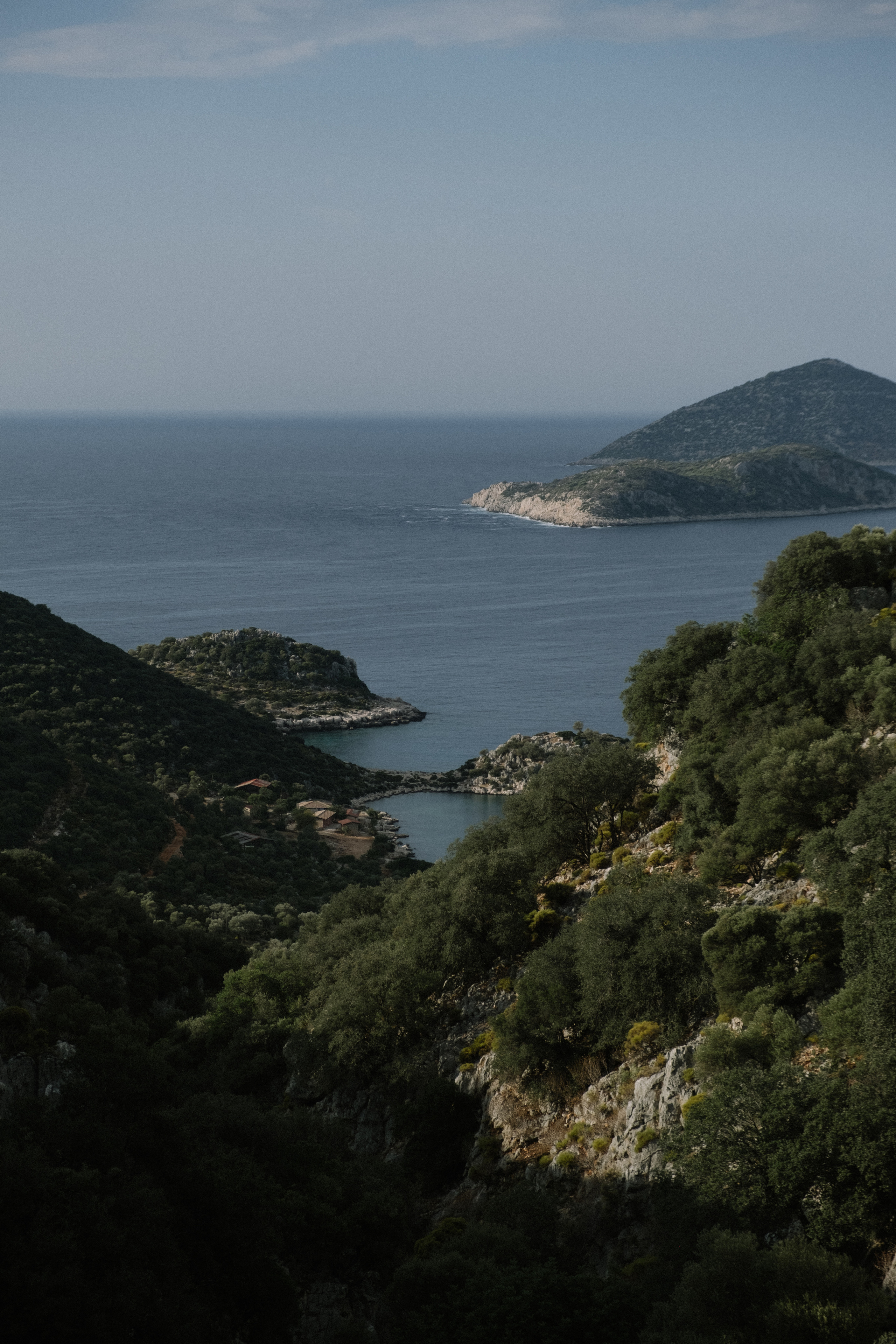 Каш. Фотограф Москва, Дима Пеллер