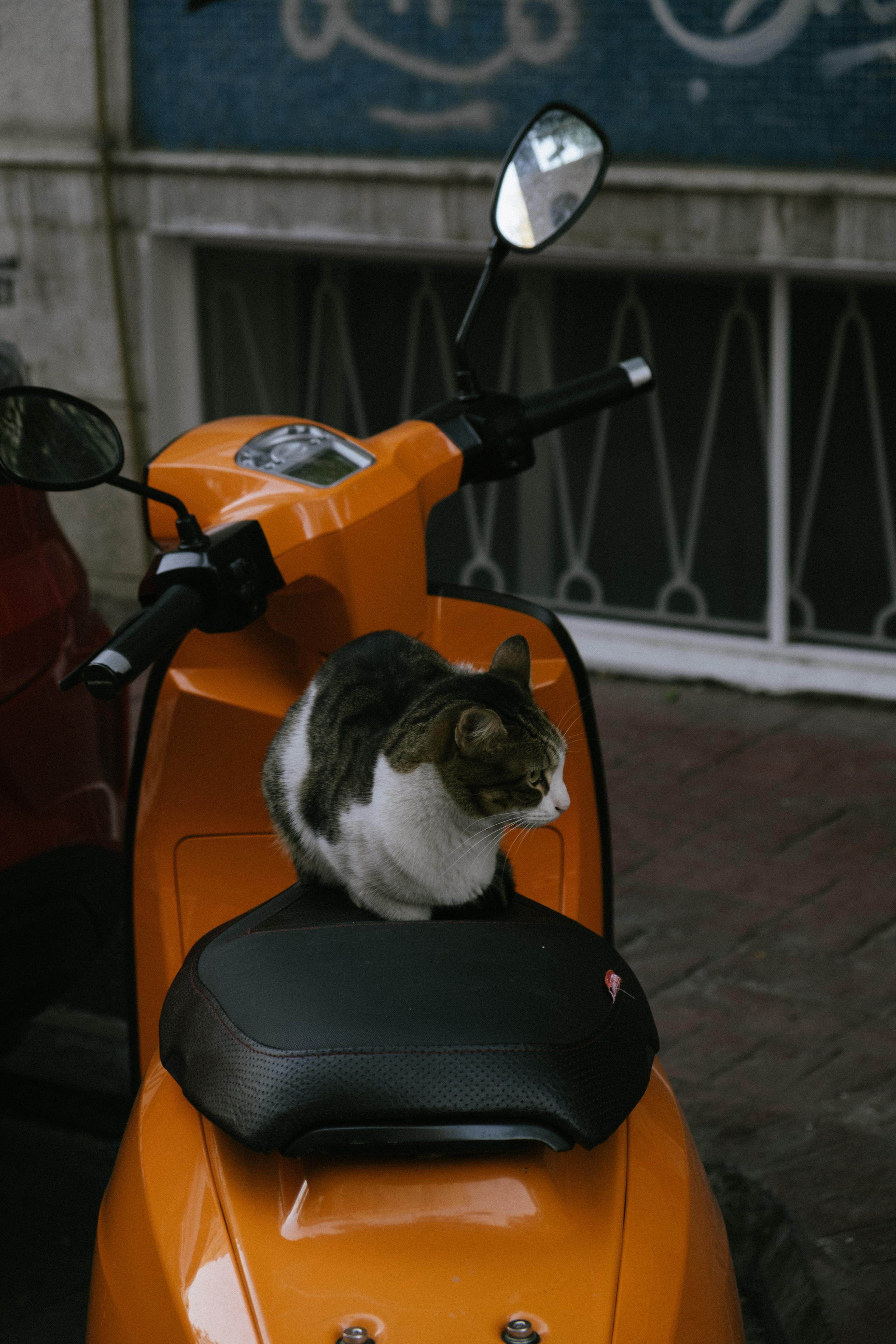 Стамбул. Фотограф Москва, Дима Пеллер