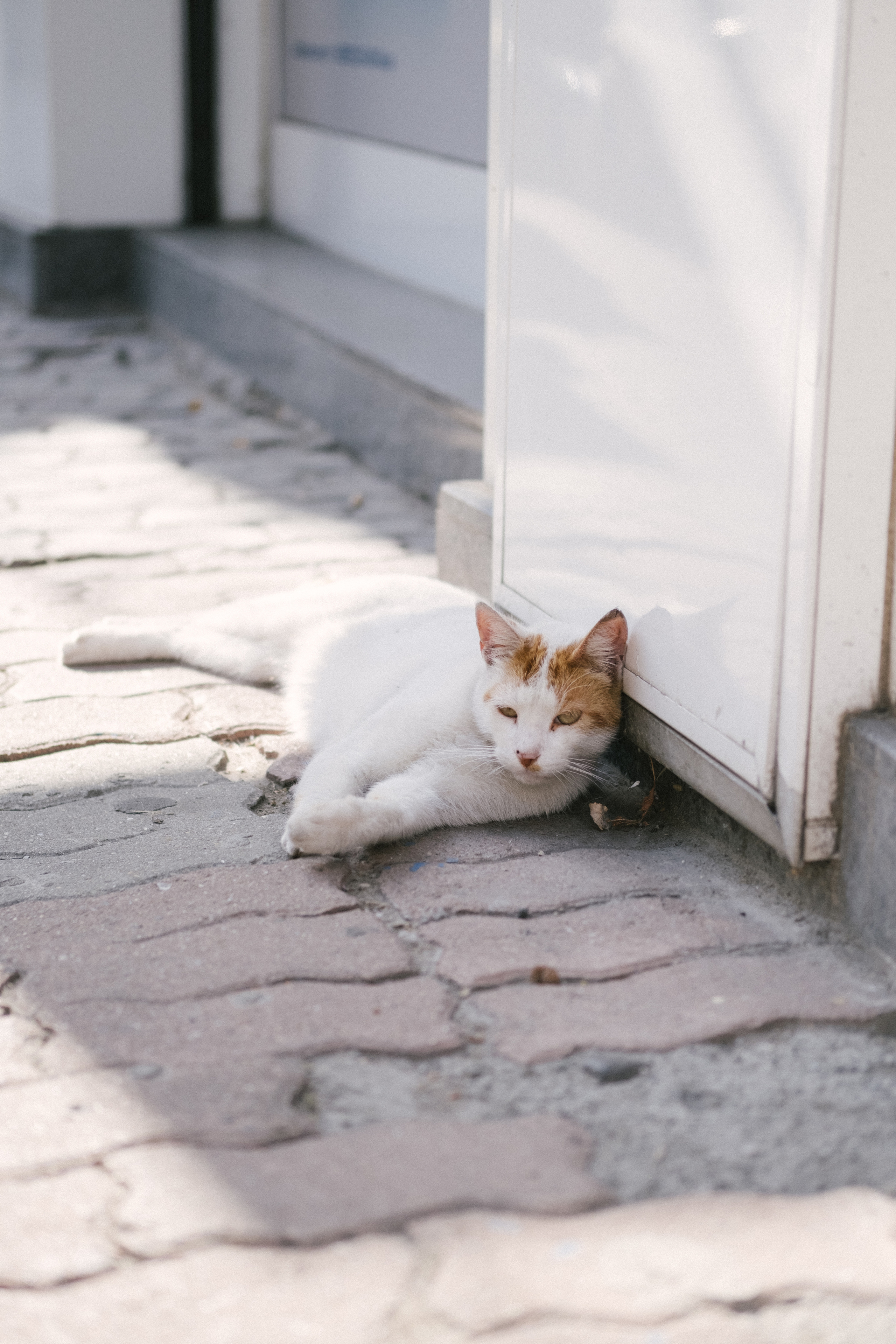Стамбул. Фотограф Москва, Дима Пеллер