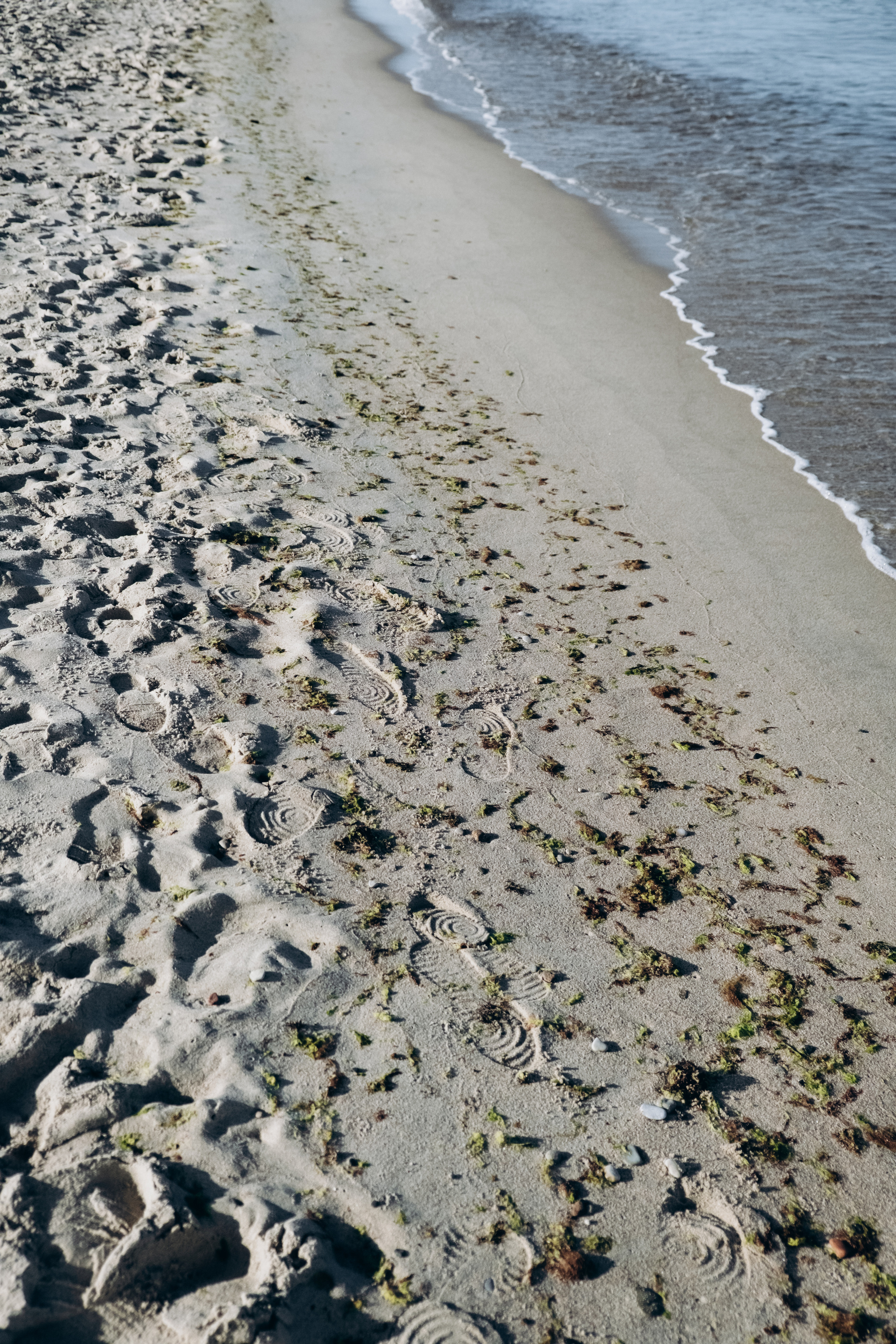 Калининградская область. Фотограф Москва, Дима Пеллер