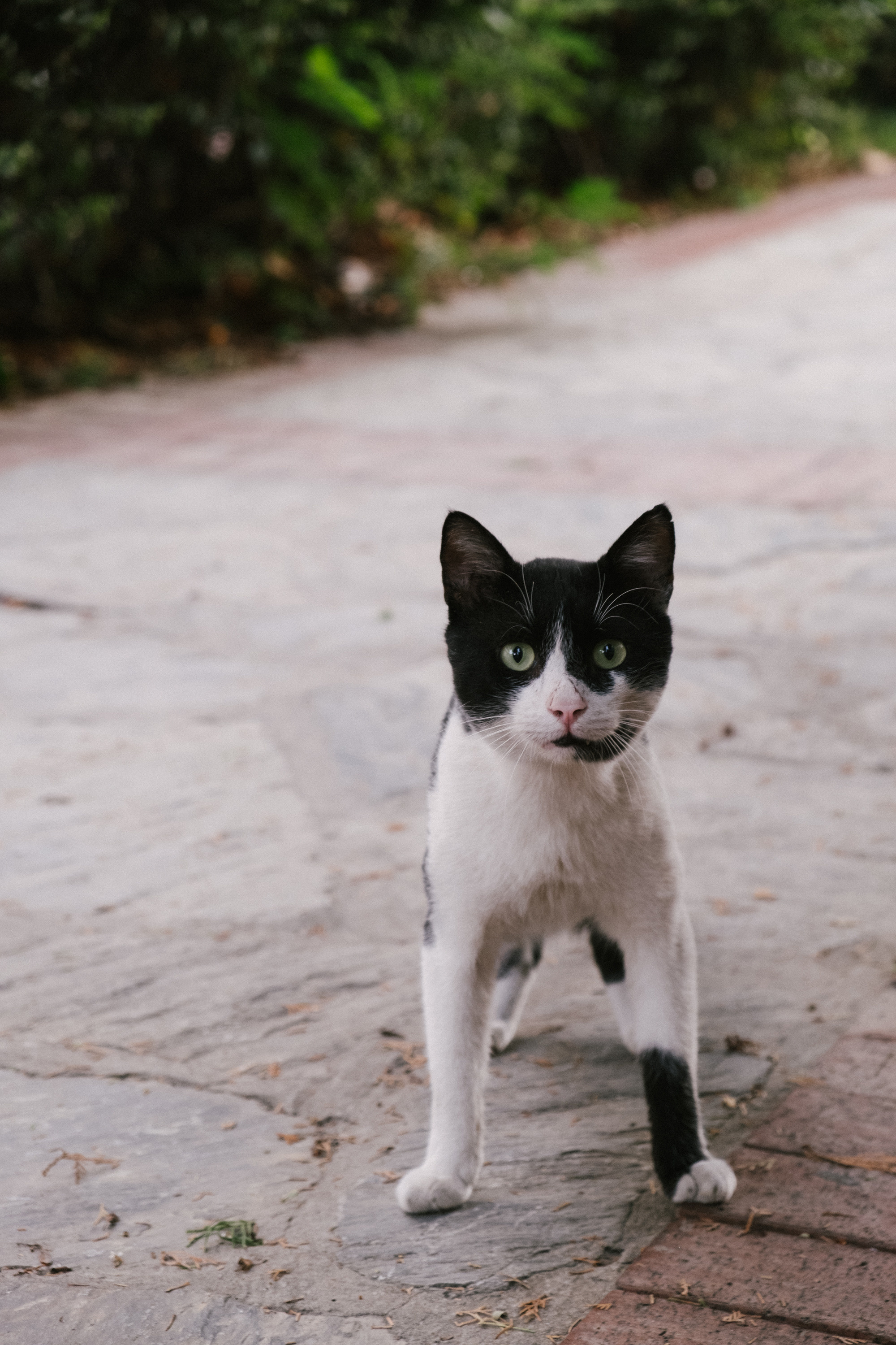 Аланья. Фотограф Москва, Дима Пеллер