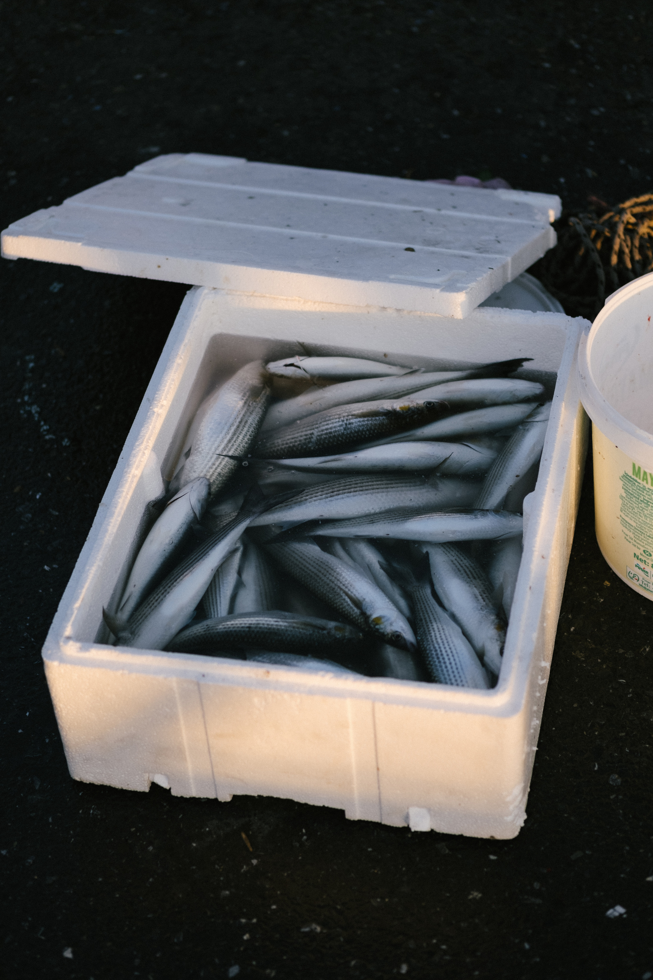 Стамбул. Фотограф Москва, Дима Пеллер