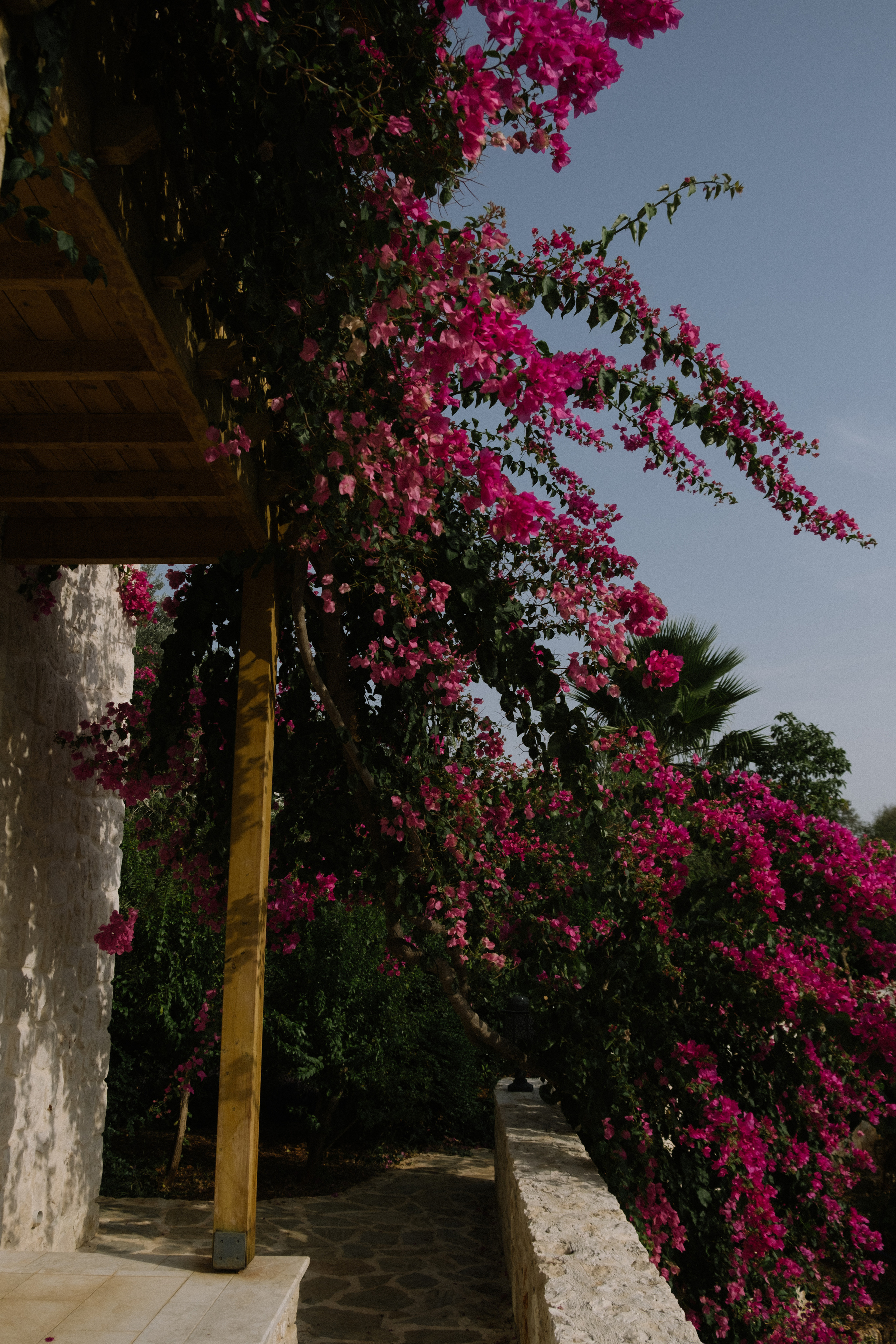 Каш. Фотограф Москва, Дима Пеллер