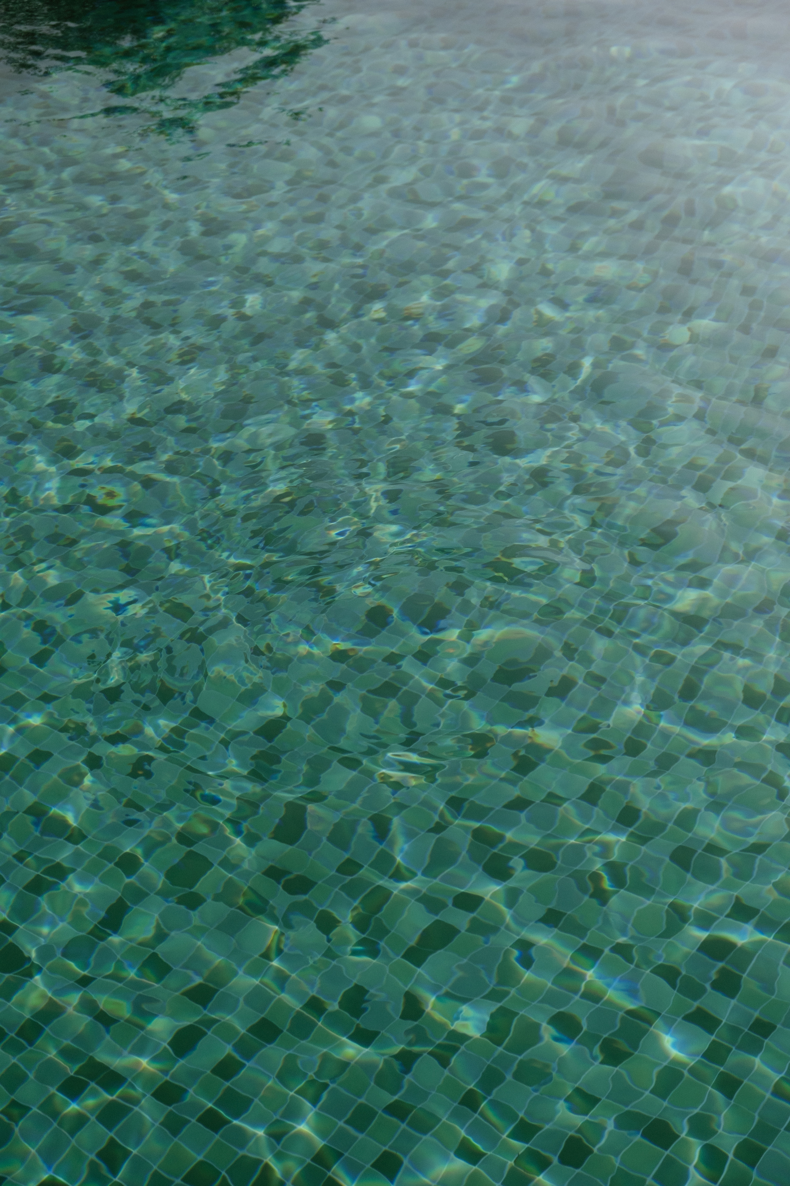 Каш. Фотограф Москва, Дима Пеллер