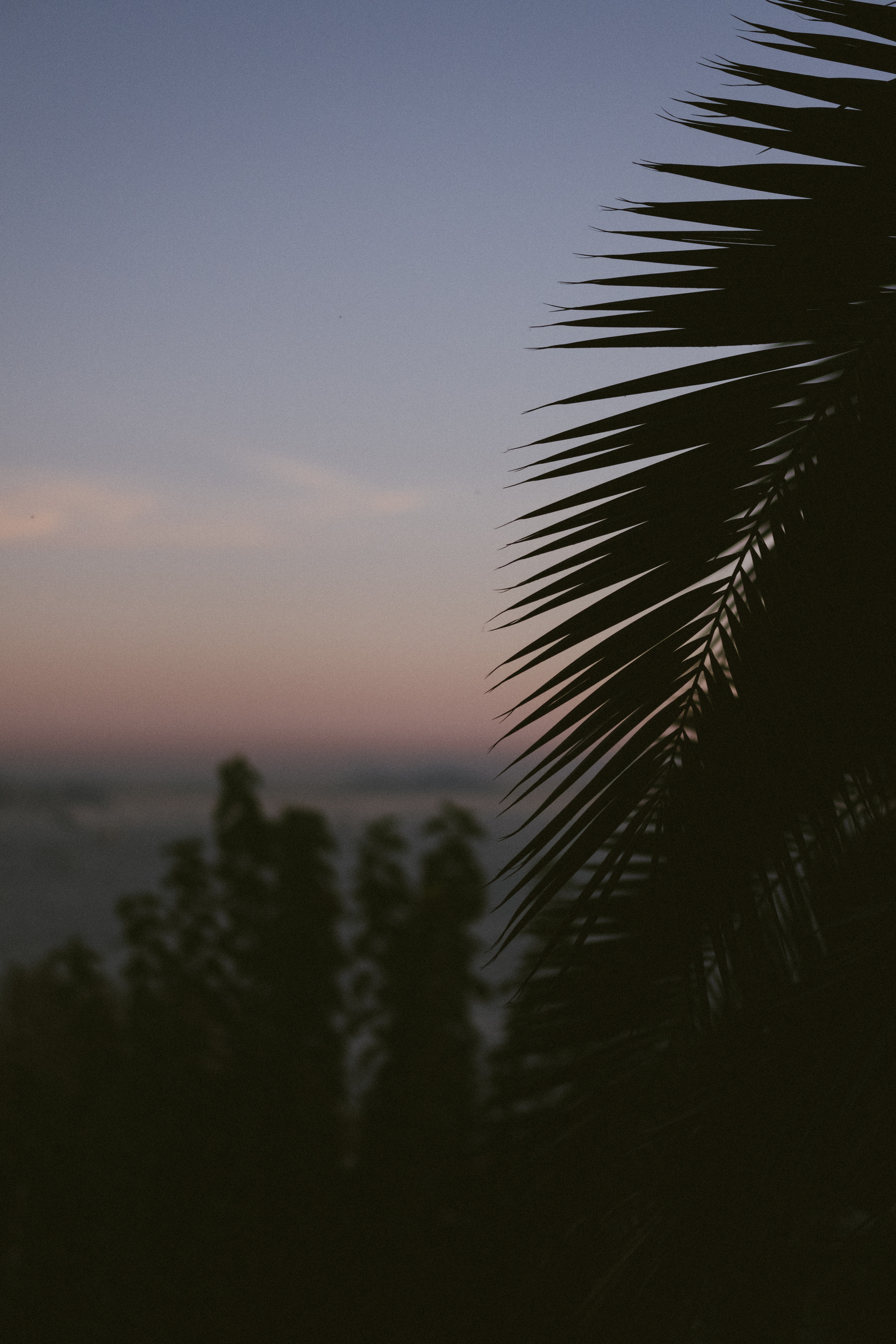 Стамбул. Фотограф Москва, Дима Пеллер