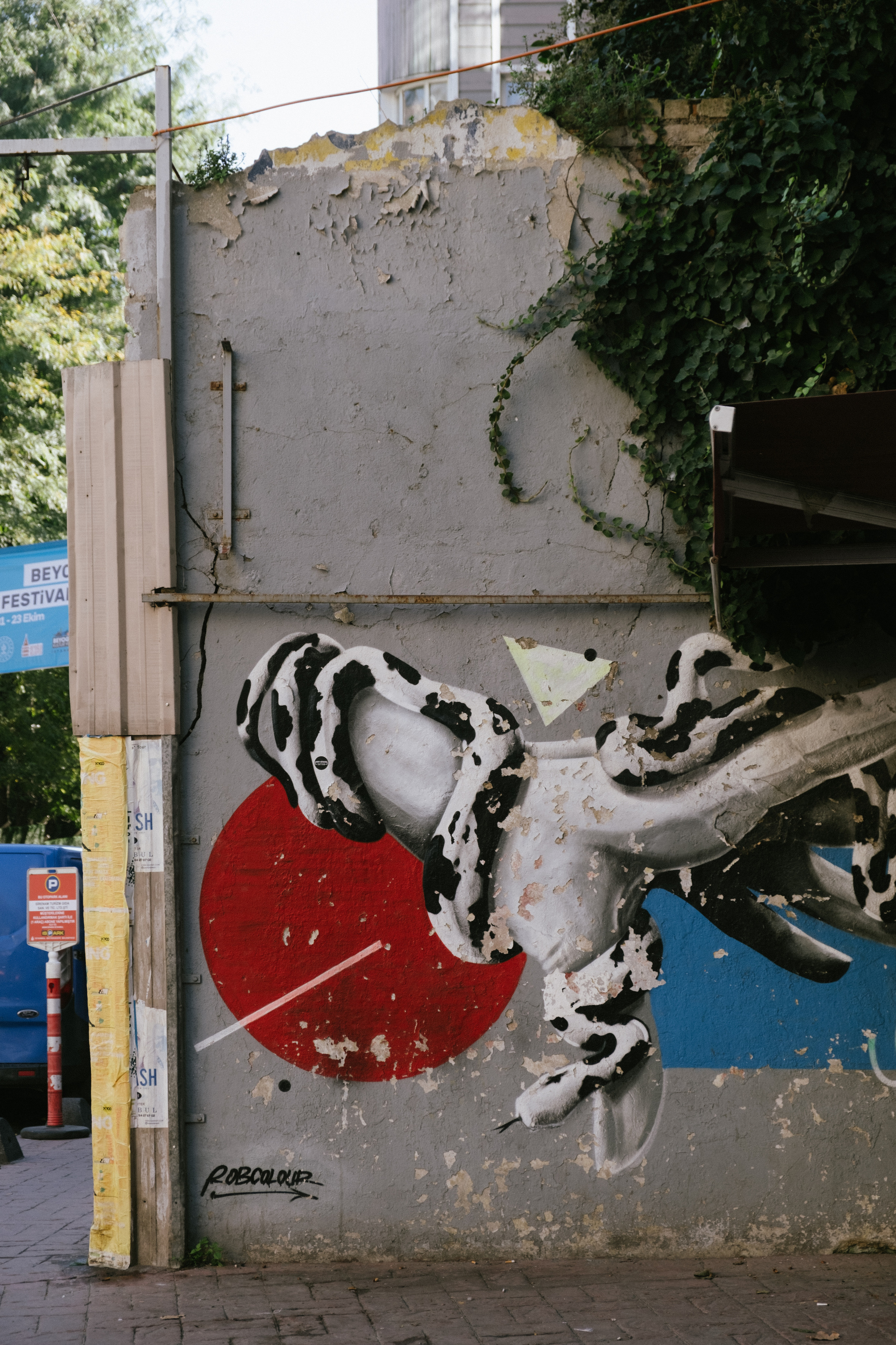 Стамбул. Фотограф Москва, Дима Пеллер