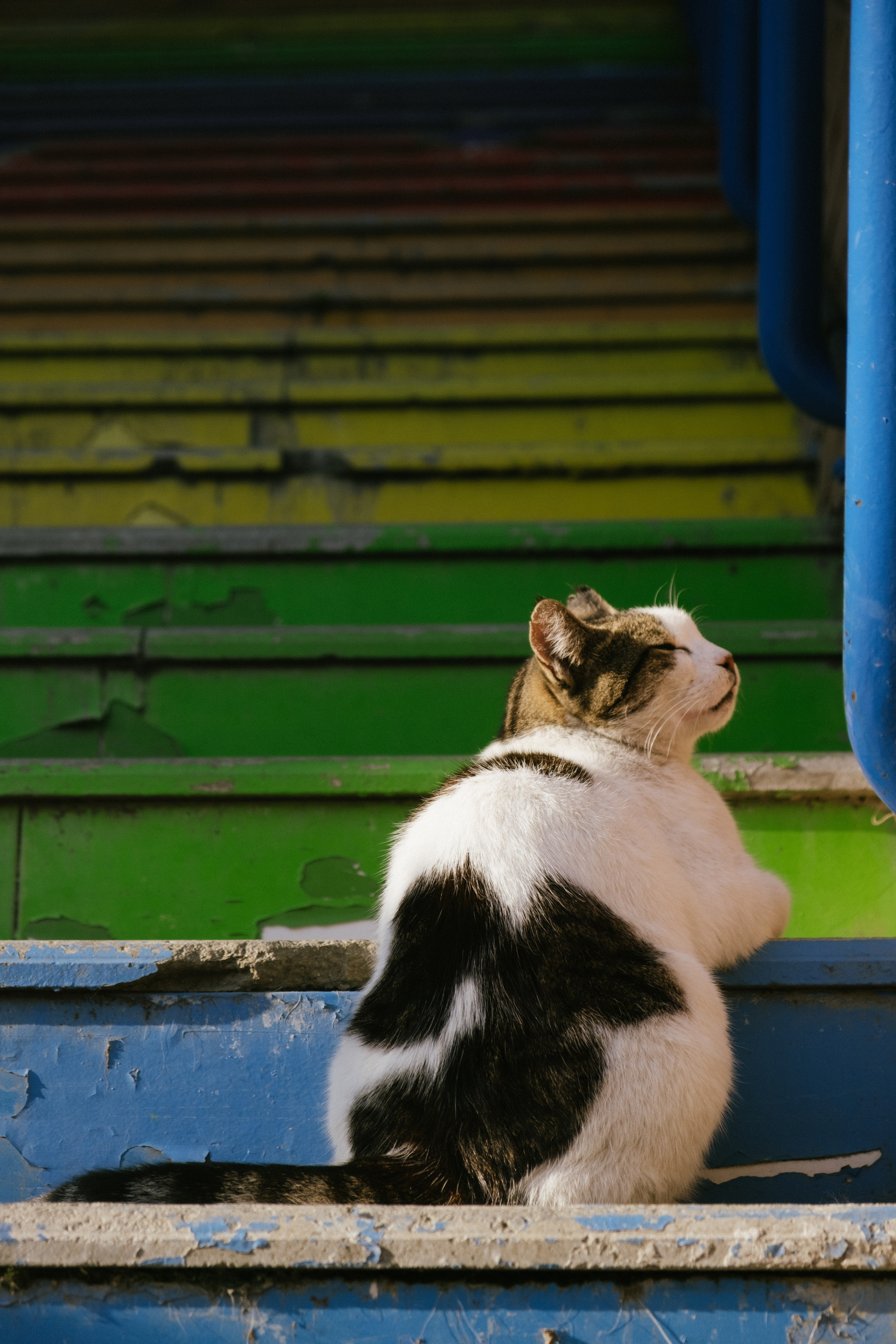 Стамбул. Фотограф Москва, Дима Пеллер