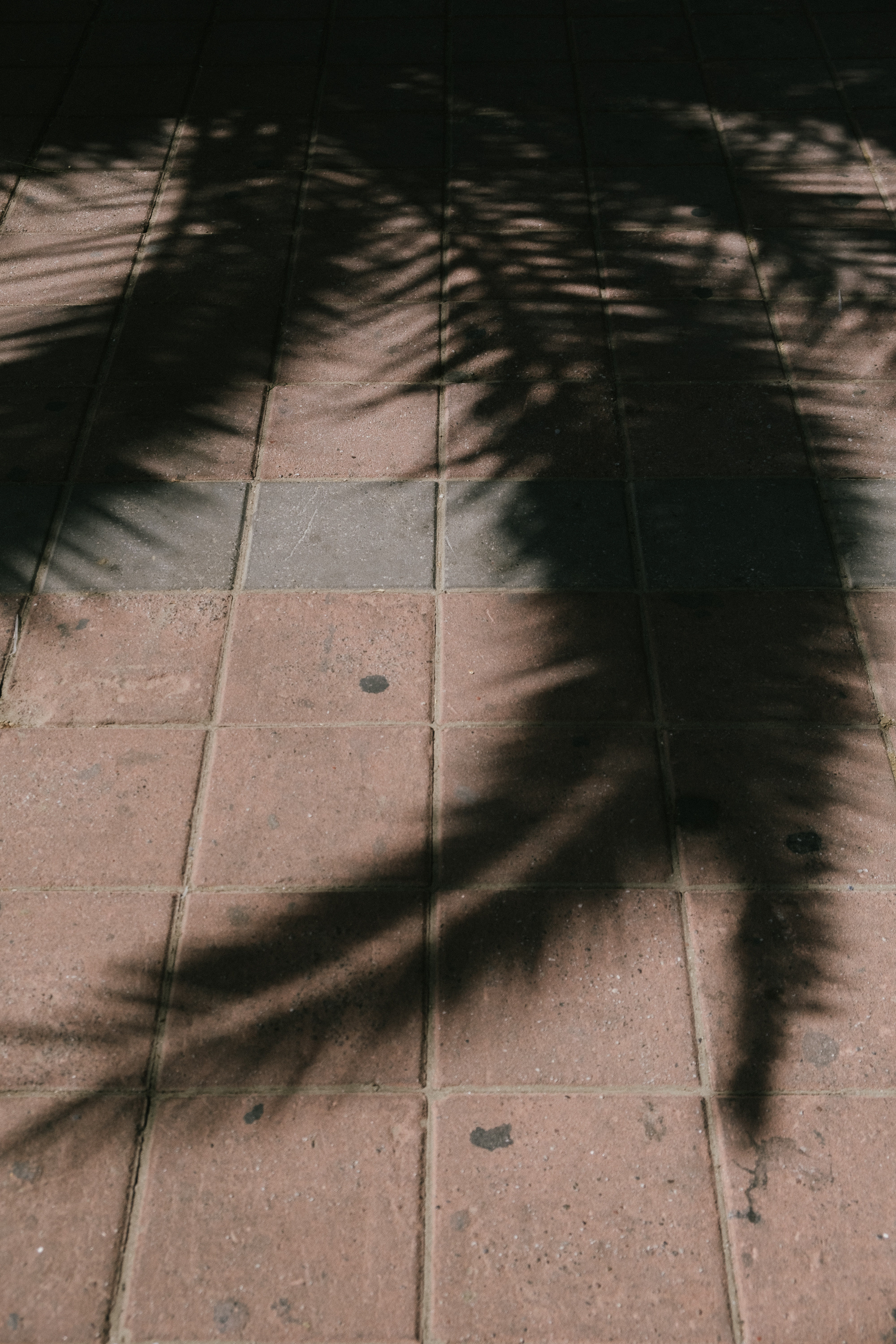 Аланья. Фотограф Москва, Дима Пеллер