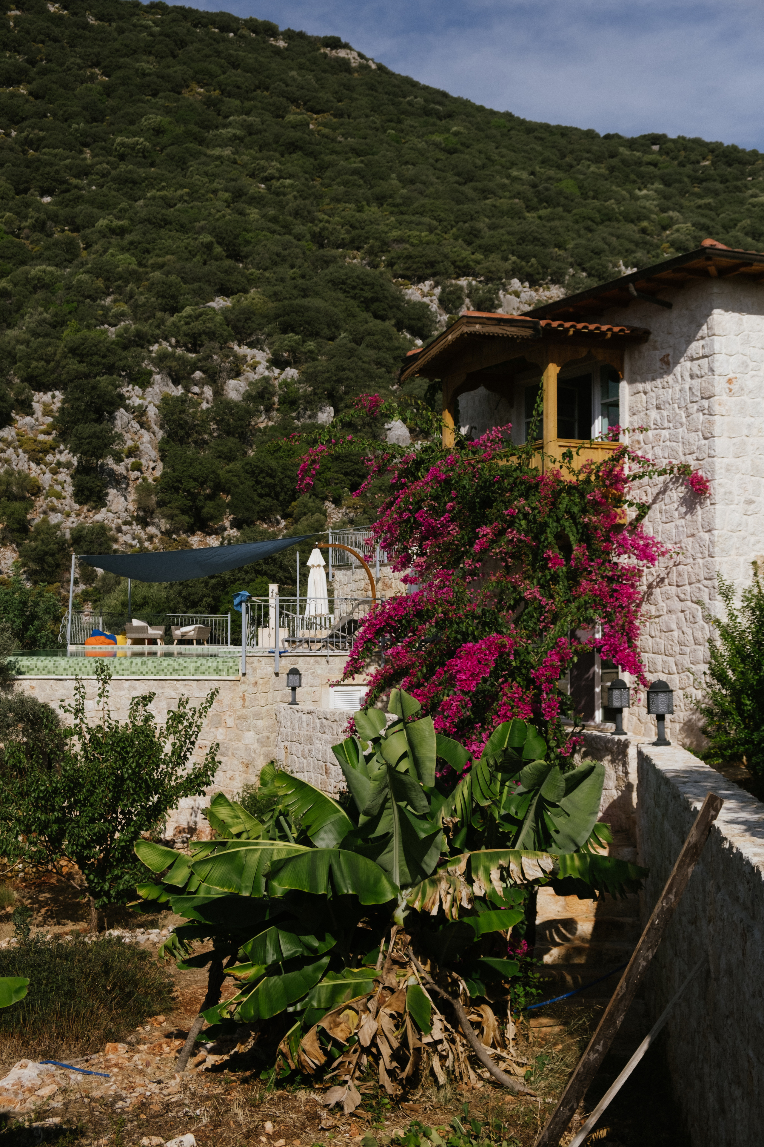 Каш. Фотограф Москва, Дима Пеллер