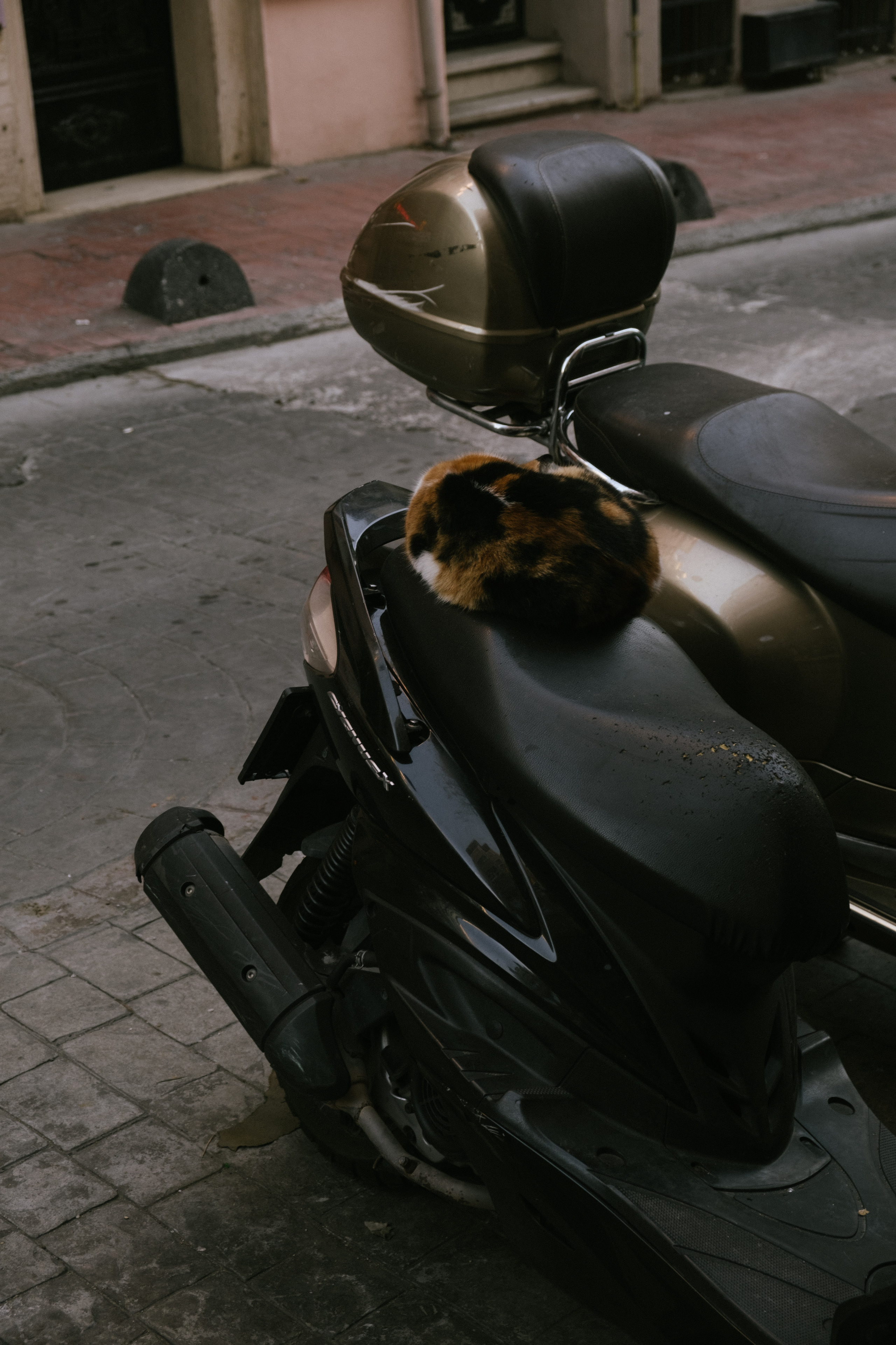 Стамбул. Фотограф Москва, Дима Пеллер