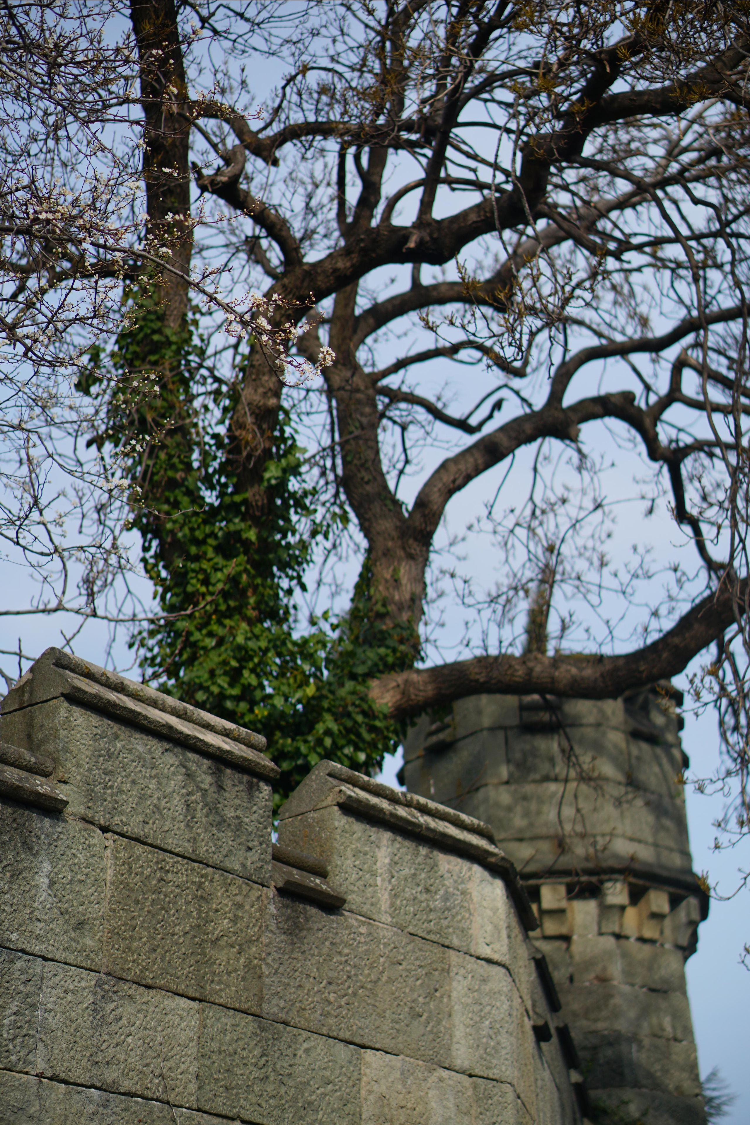Крым. Фотограф Москва, Дима Пеллер
