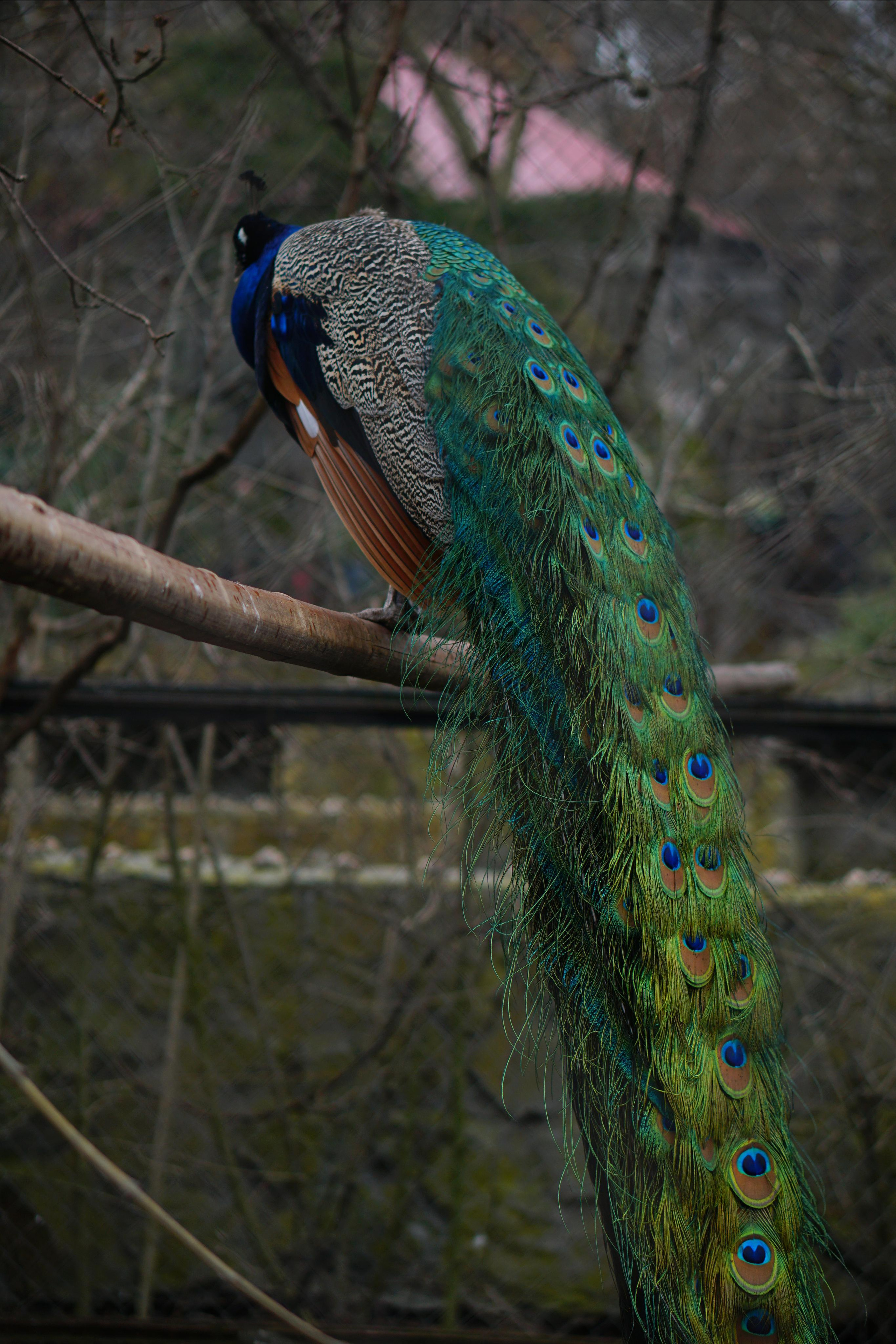 Крым. Фотограф Москва, Дима Пеллер
