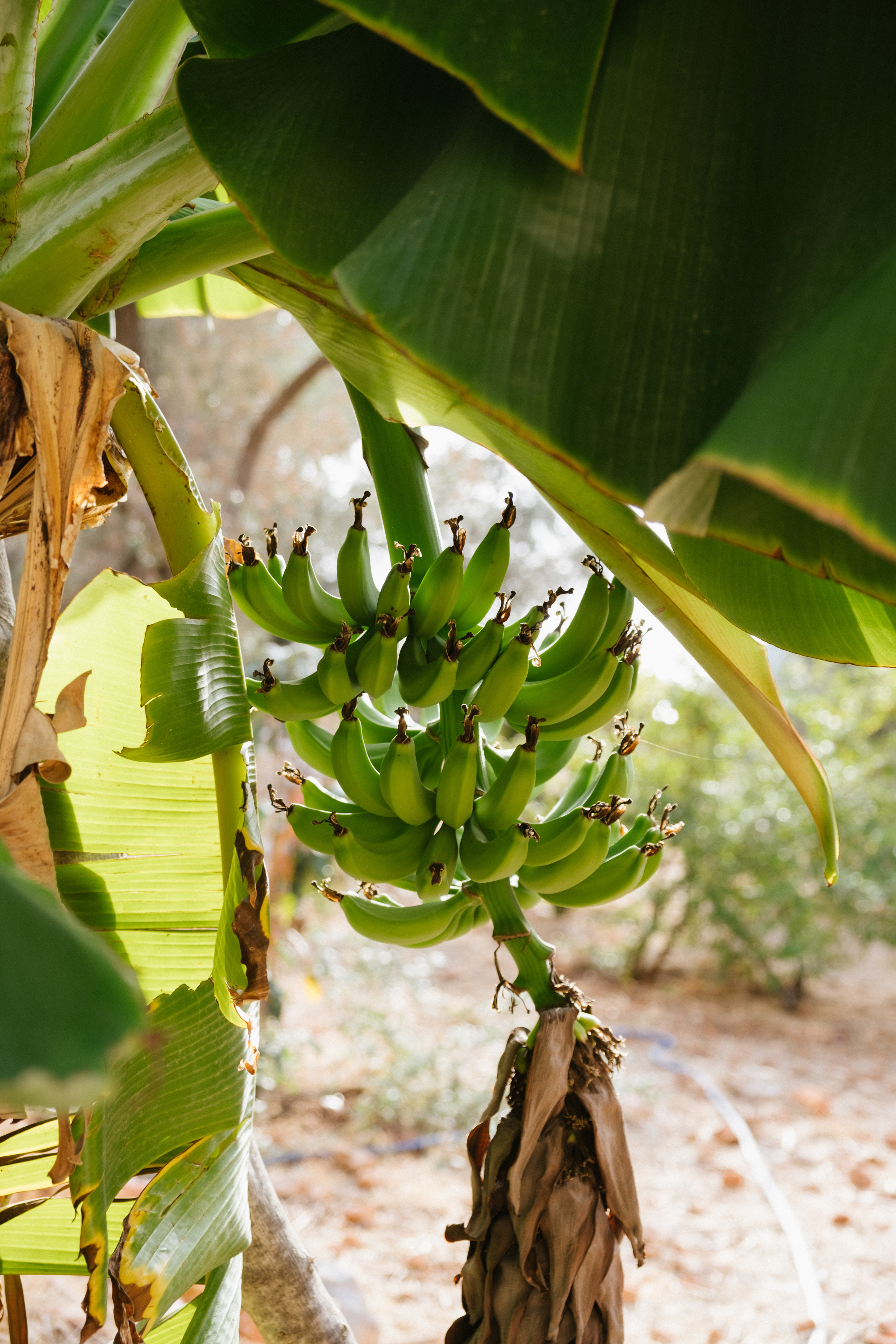 Каш. Фотограф Москва, Дима Пеллер