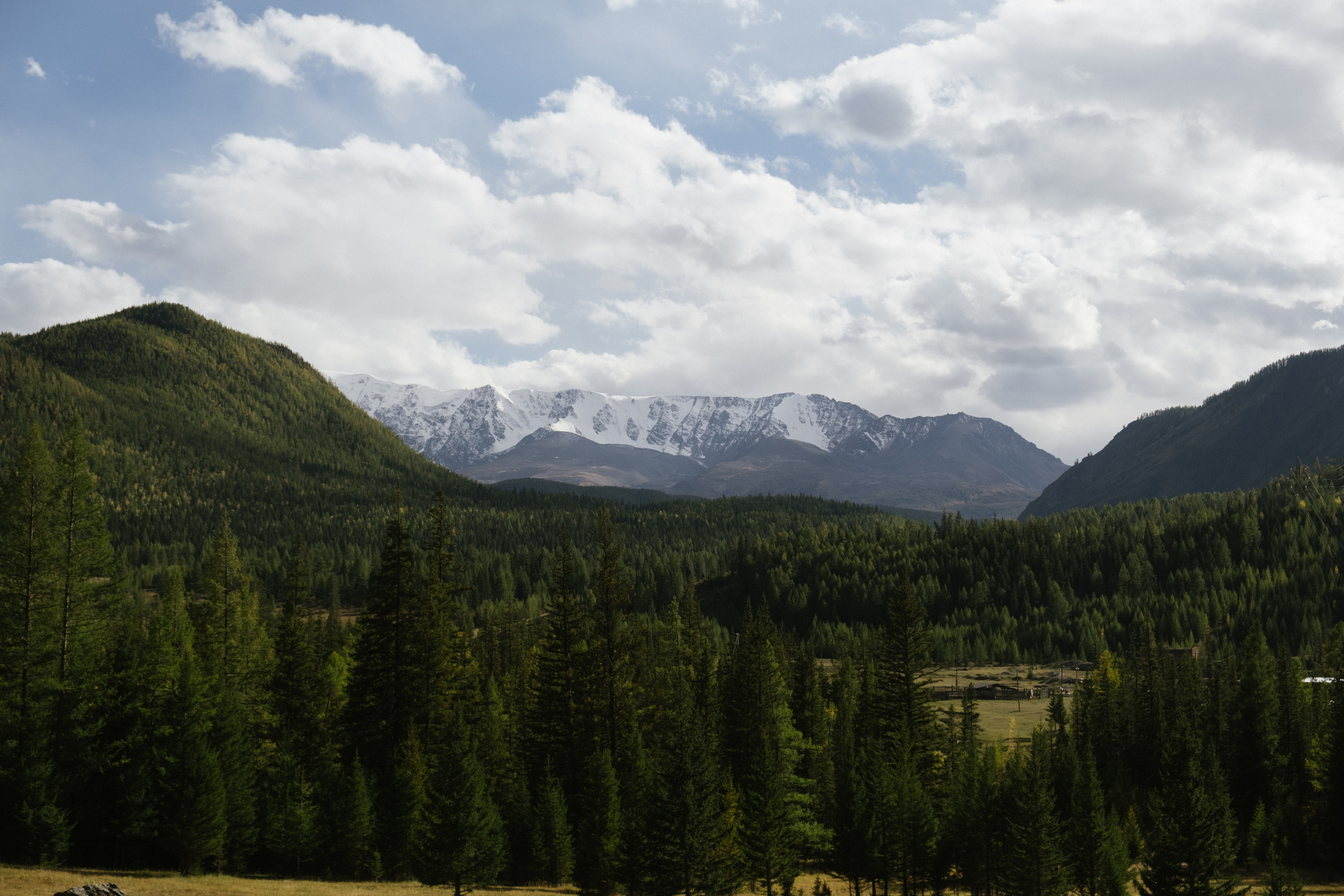 Алтай. Фотограф Москва, Дима Пеллер