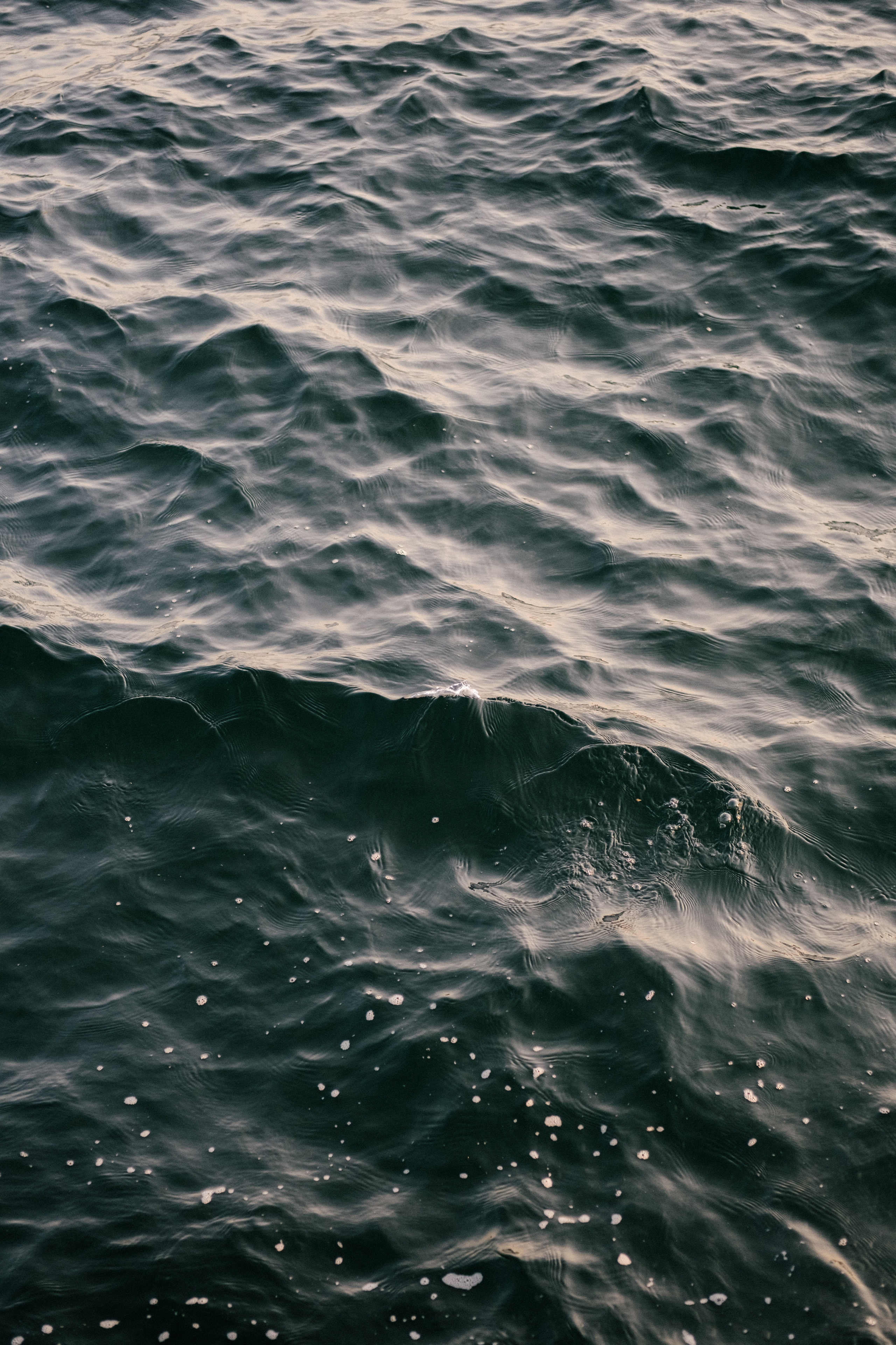 Стамбул. Фотограф Москва, Дима Пеллер