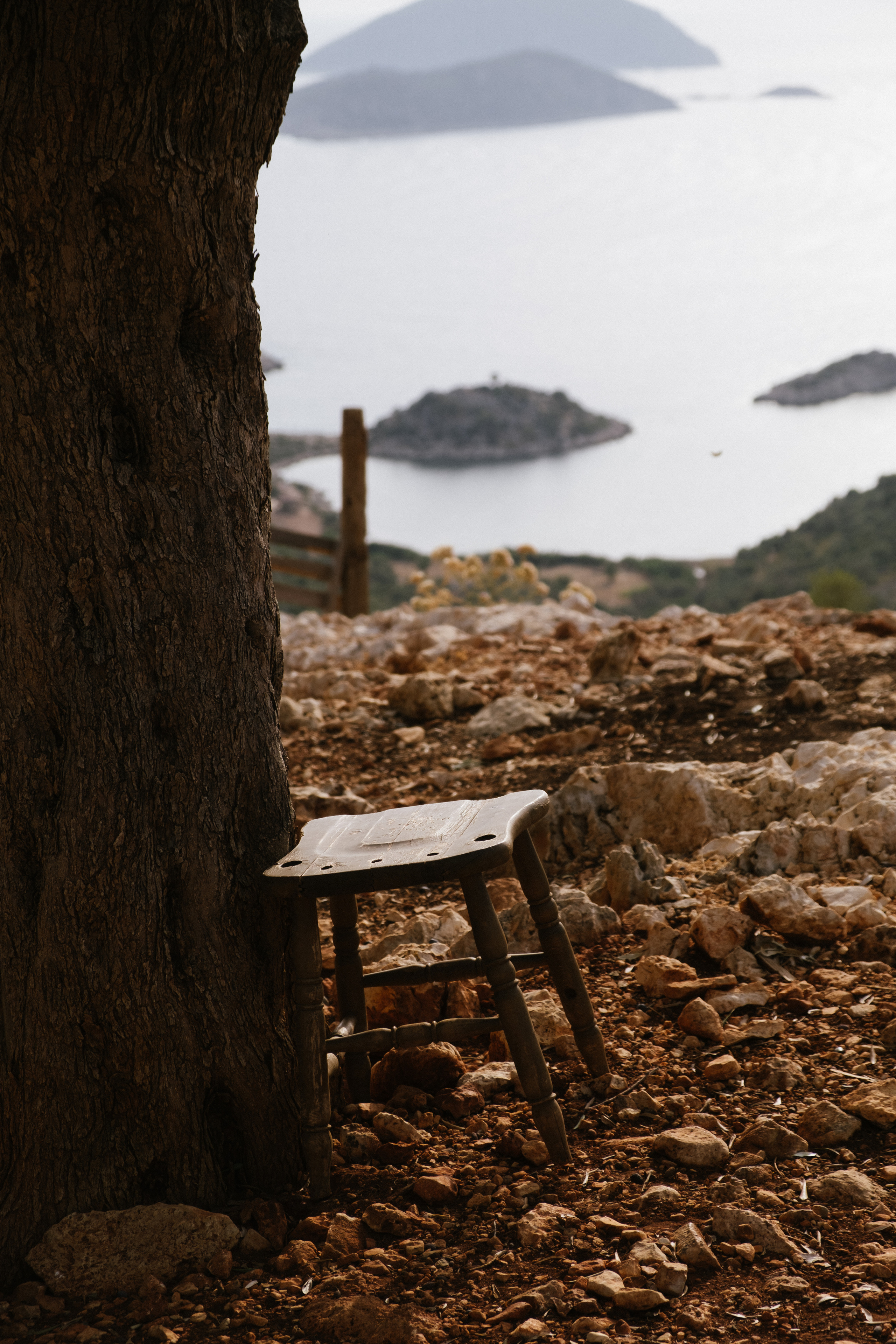 Каш. Фотограф Москва, Дима Пеллер