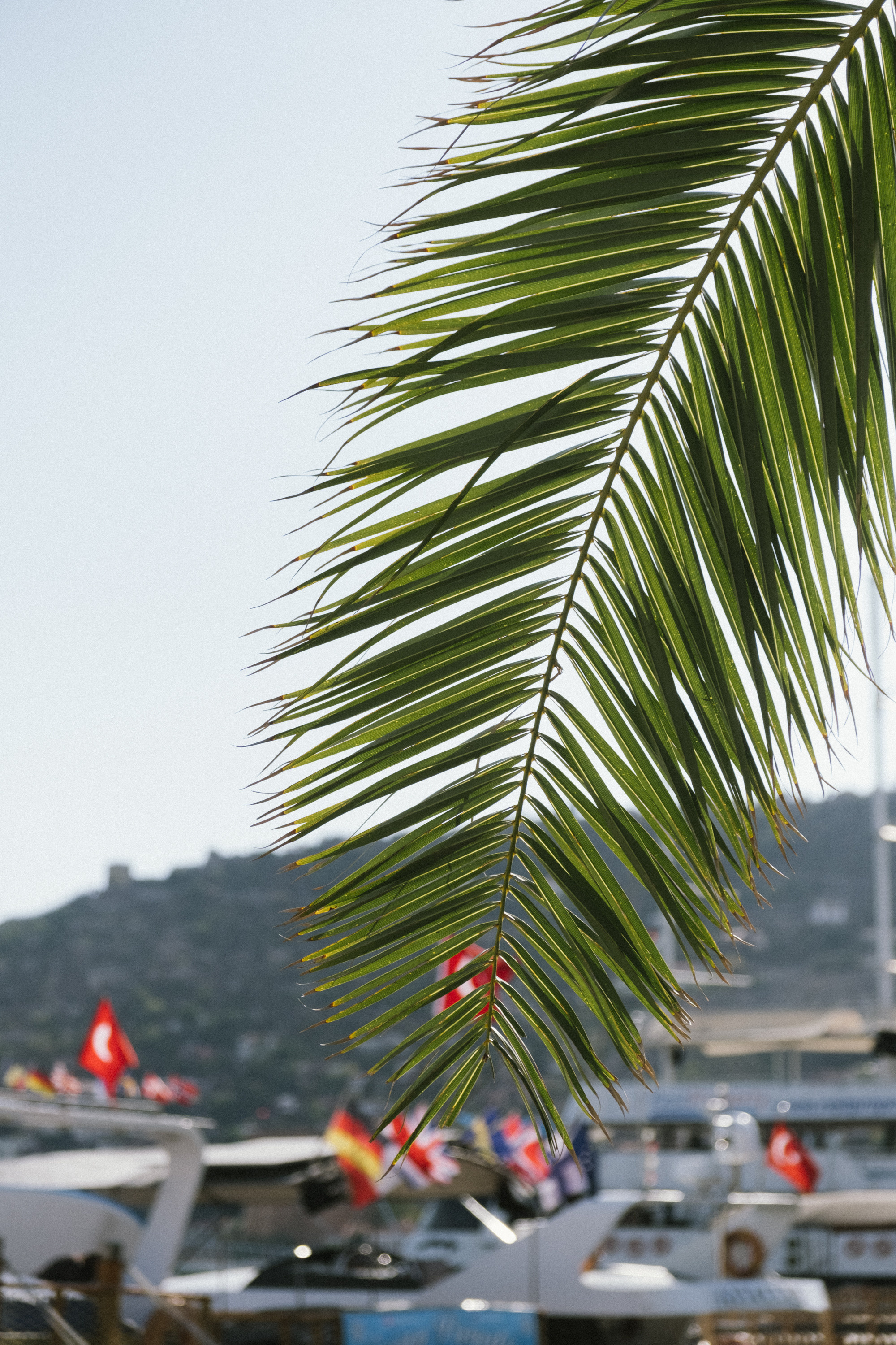 Аланья. Фотограф Москва, Дима Пеллер