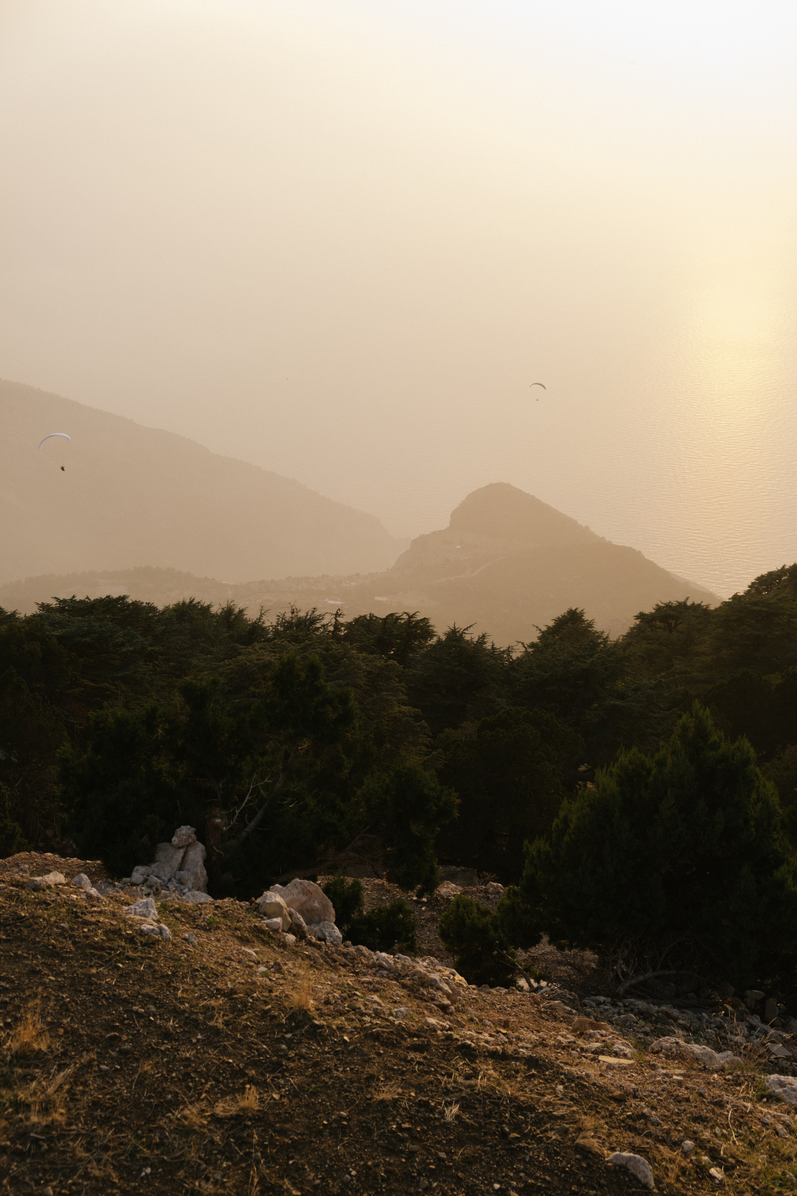 Фетхие. Фотограф Москва, Дима Пеллер