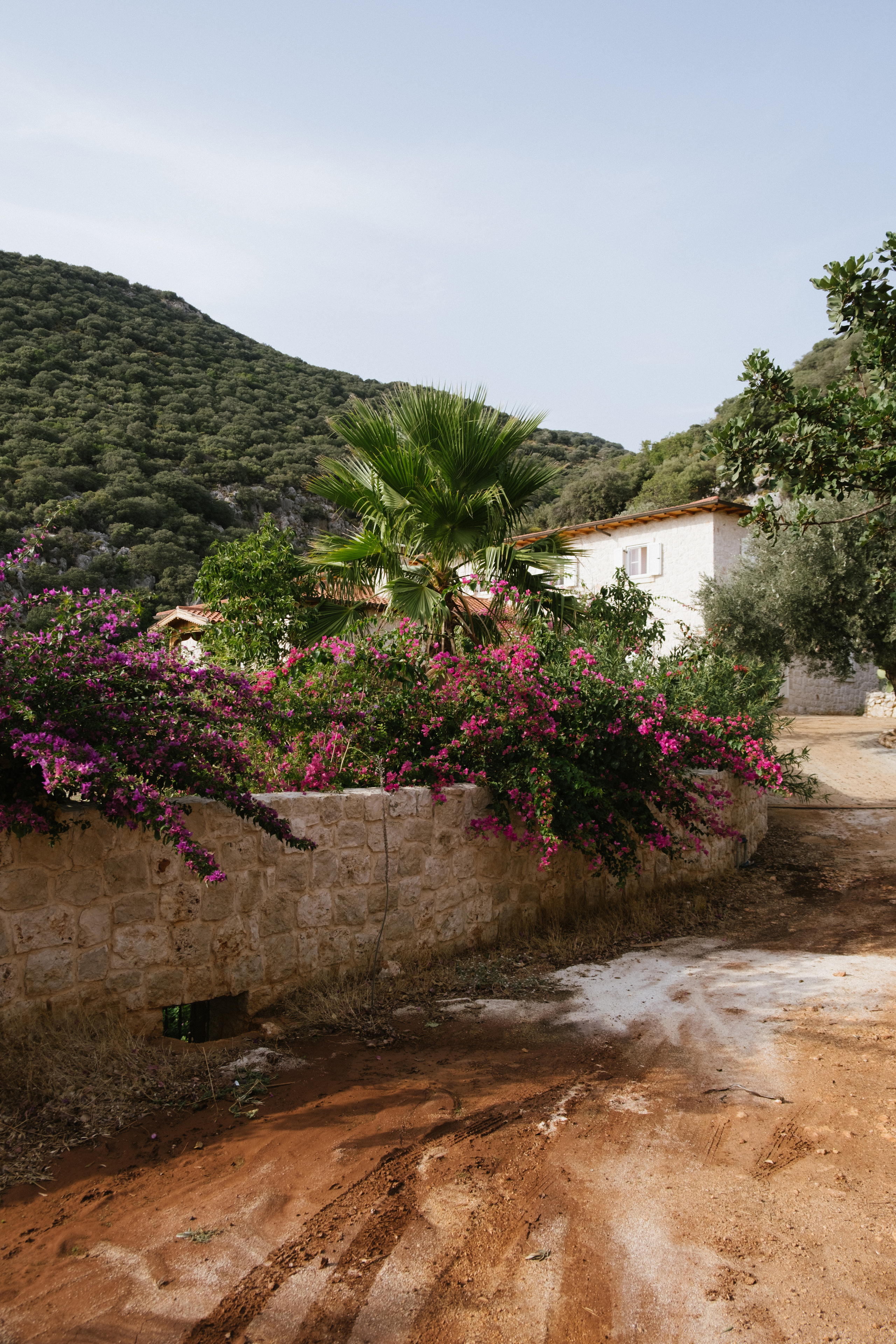 Каш. Фотограф Москва, Дима Пеллер