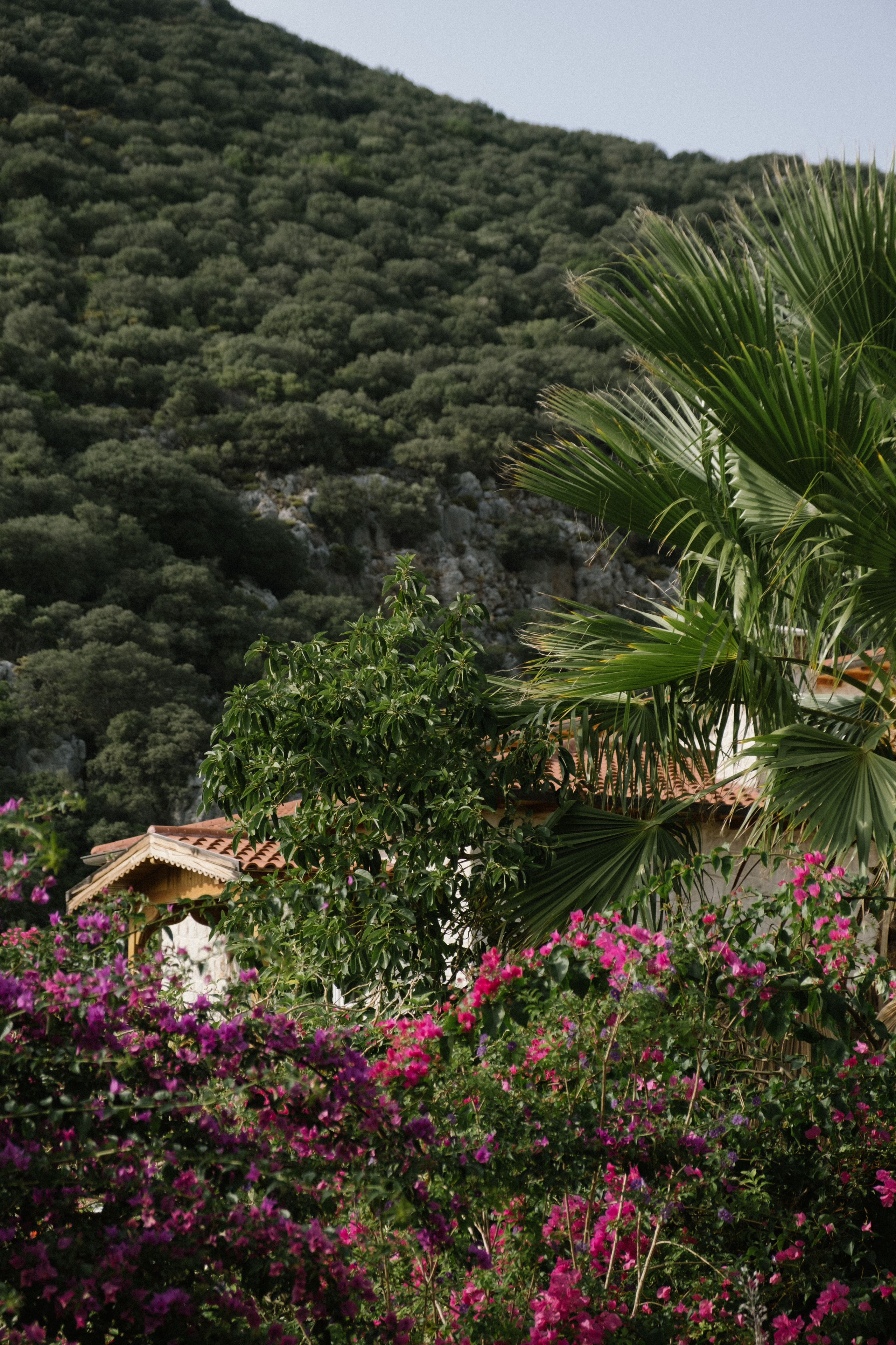 Каш. Фотограф Москва, Дима Пеллер