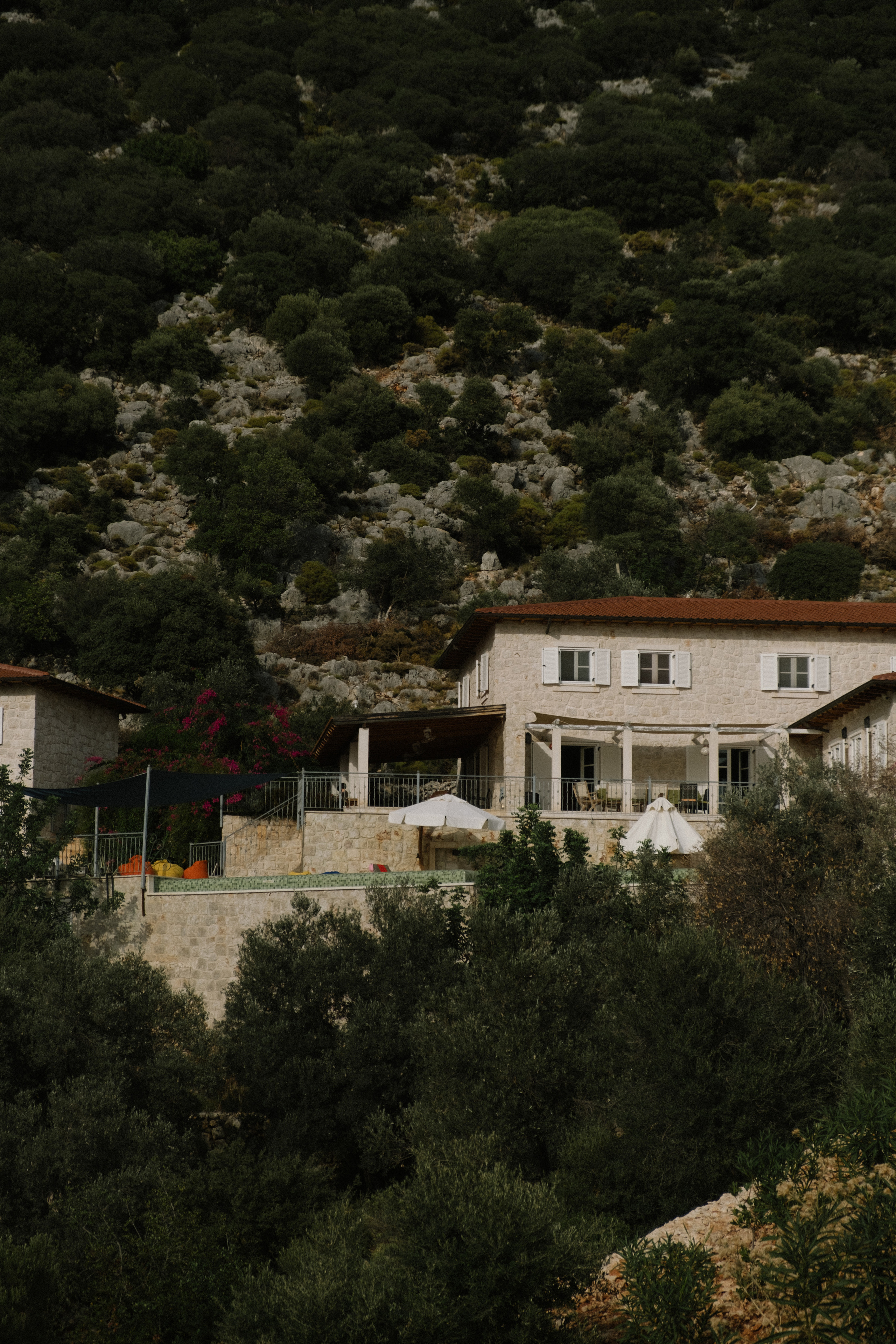 Каш. Фотограф Москва, Дима Пеллер