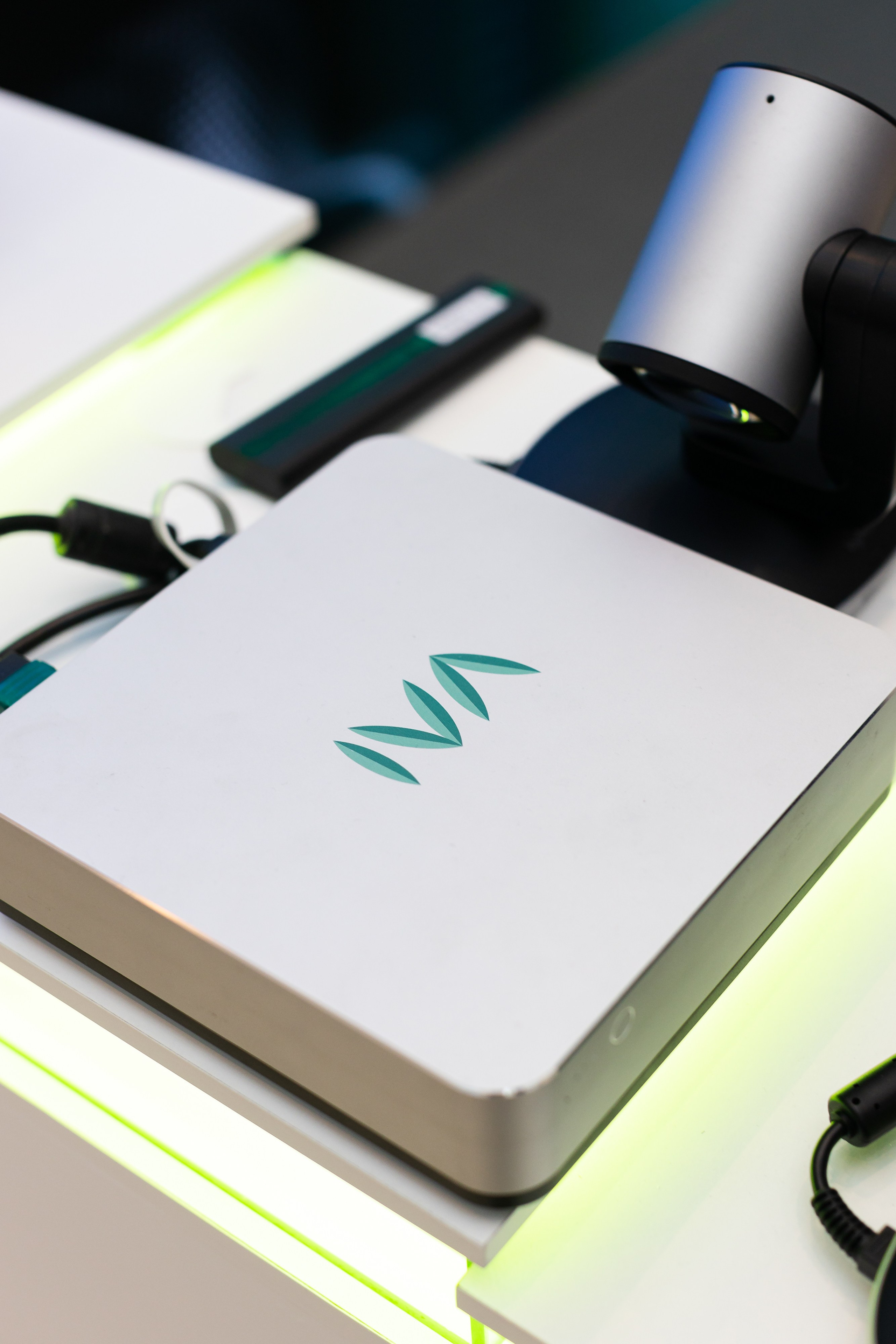 IVA DAY 2024. Свадебный и портретный фотограф в Королёве Сергей Чихарев