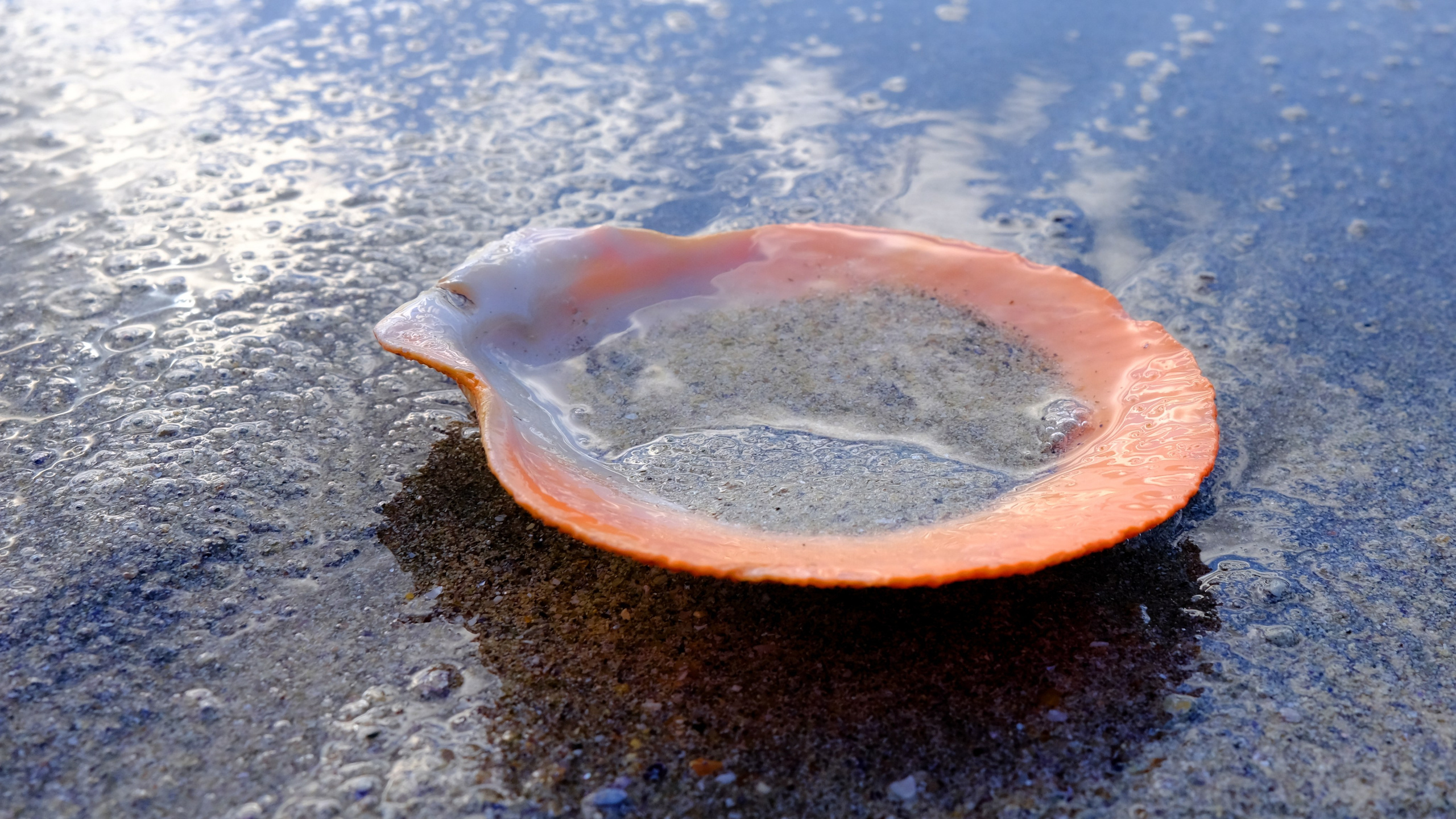 Баренцево море. Пейзажи Крайнего Севера. Баренцево море, Рыбачий, Средний, Немецкий