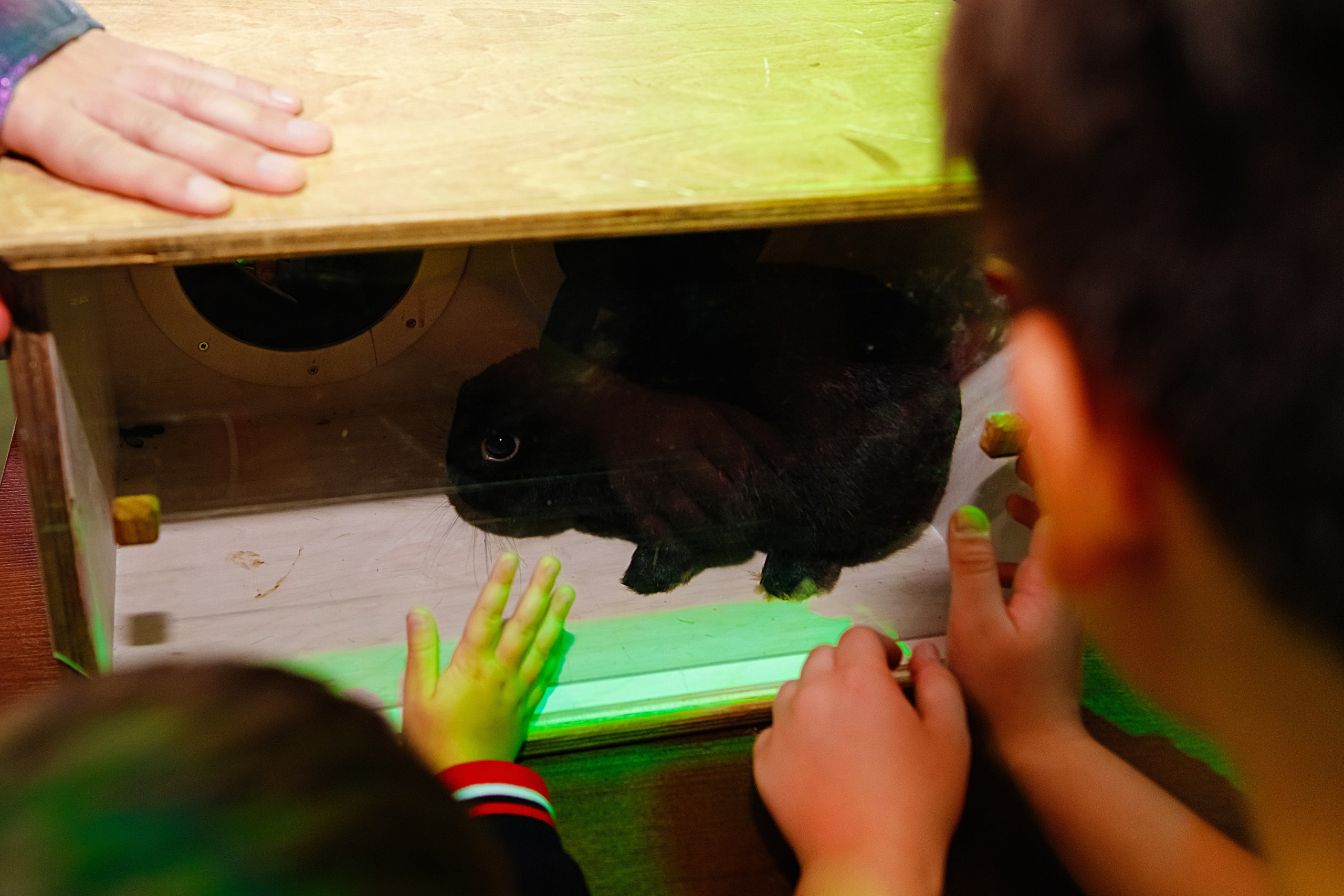 PARTY — happy birthday!. Elena Sova — семейный и женский фотограф в Санкт-Петербурге