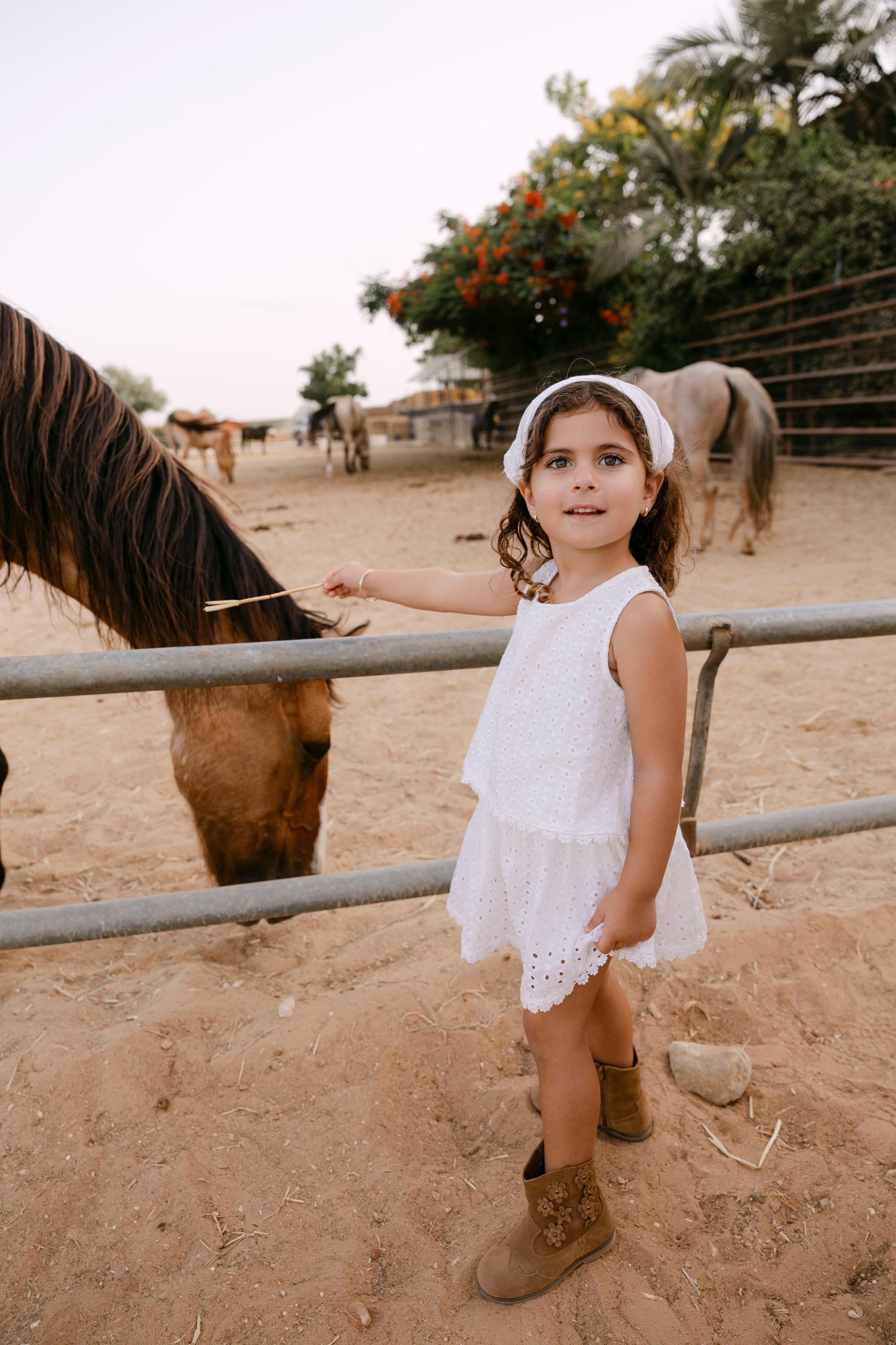 Pregnancy photoshoot at the horse farm. Главная
