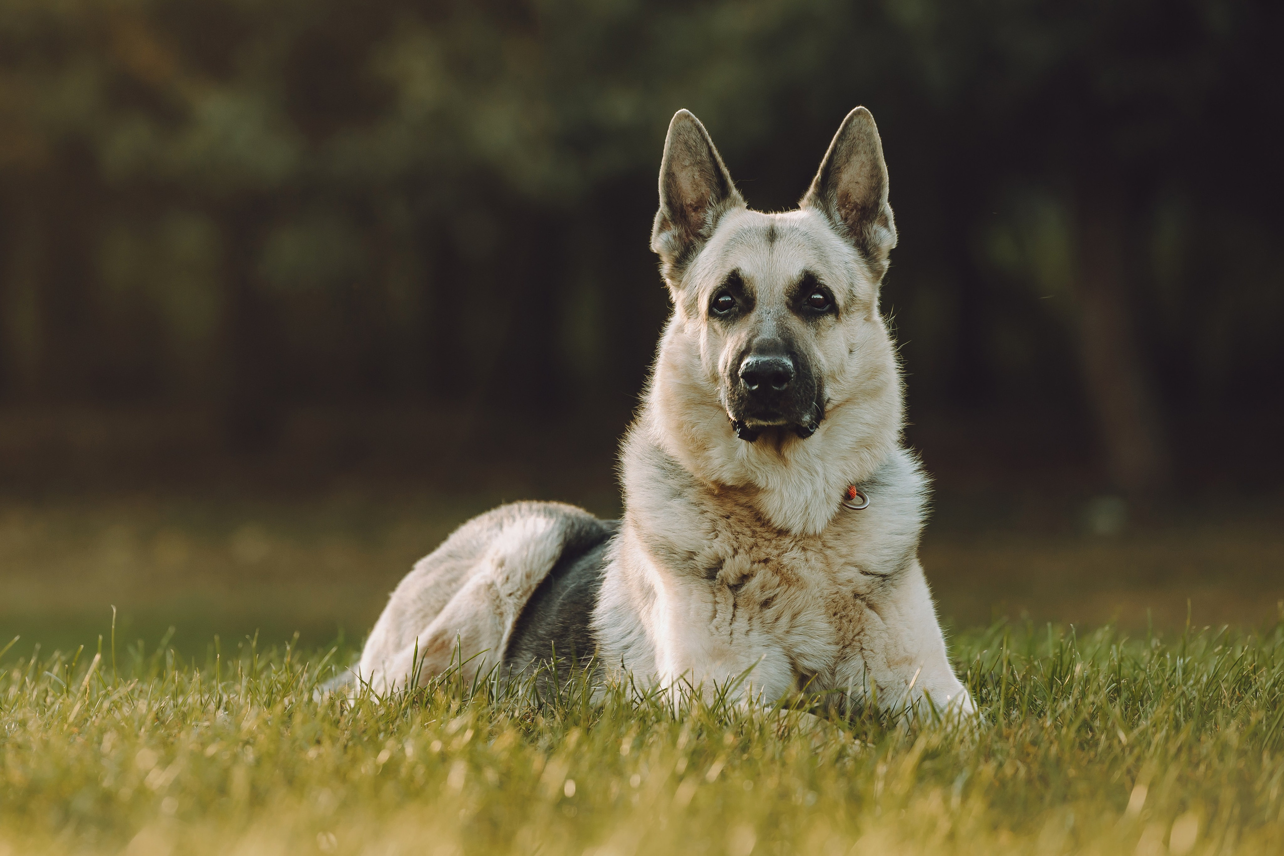 Кристина и все-все
