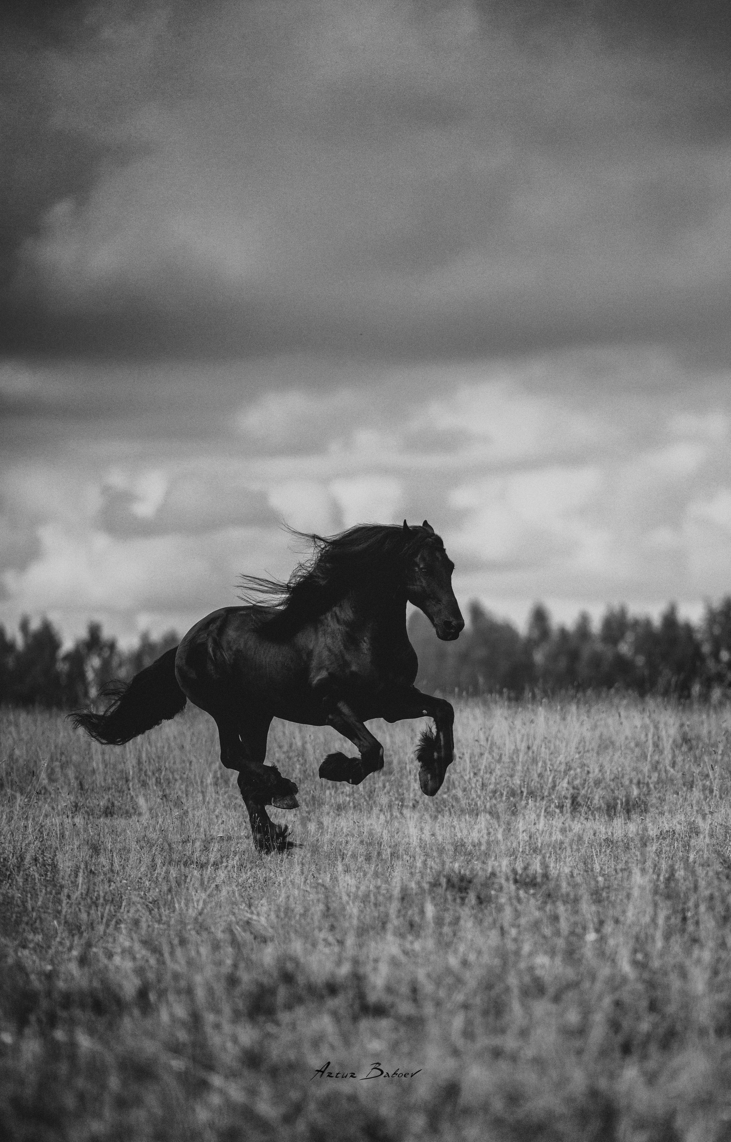 Лошади в художественной фотографии — Артур Бабоев