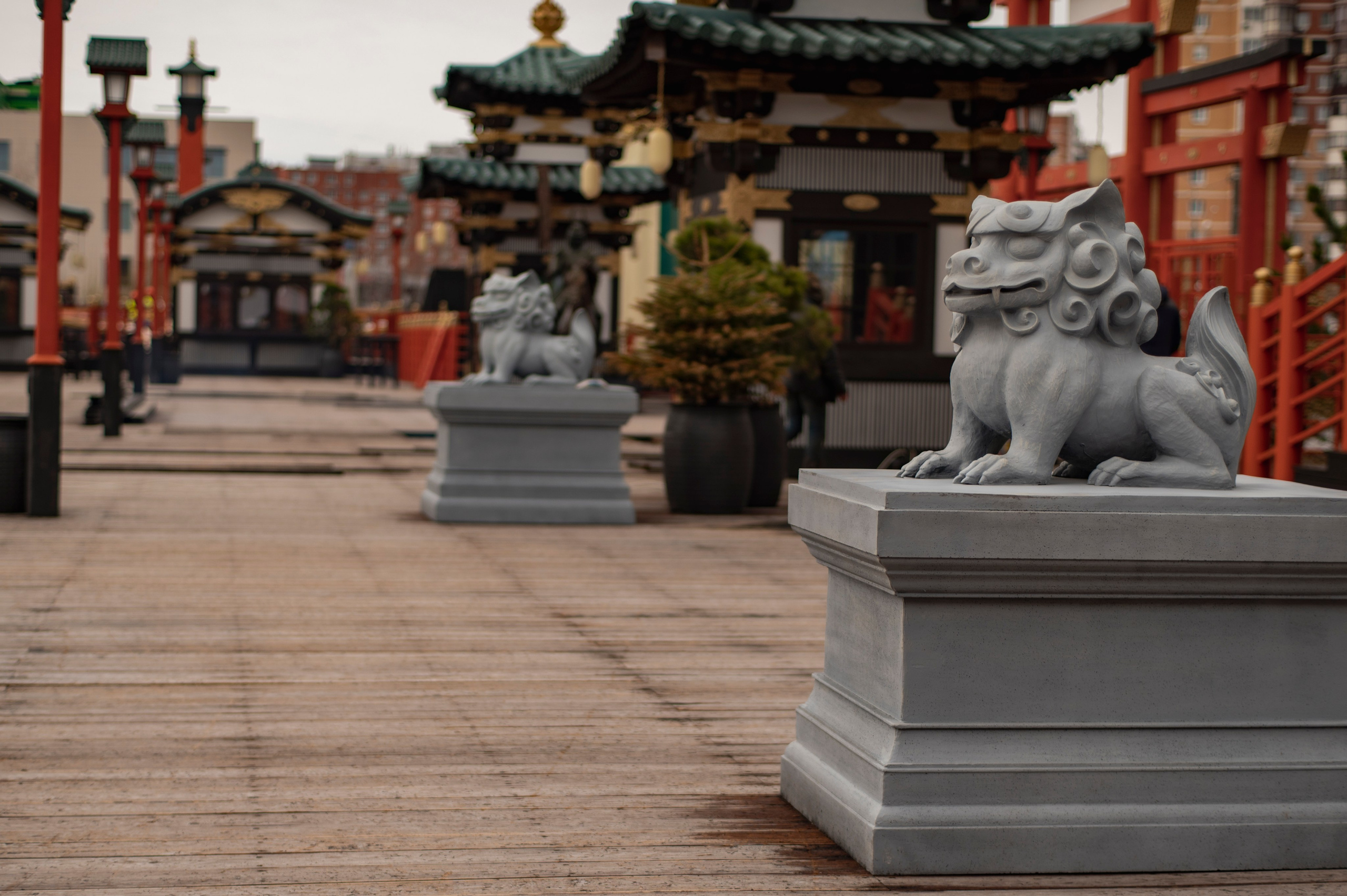 Фотопрогулка апрель 2022. Фотограф Роман Адлер