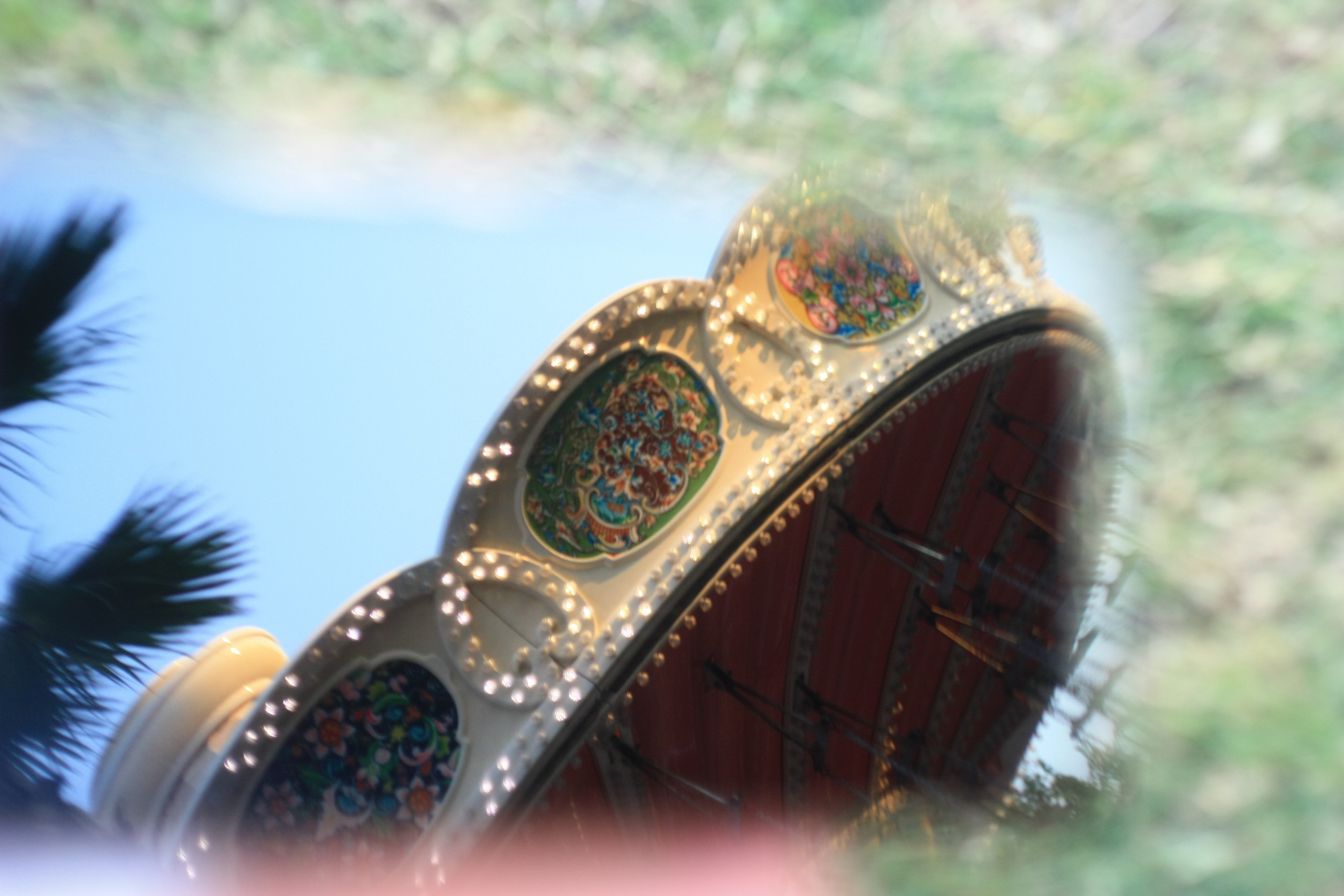 Первые кадры. Сочи — парк. Фотограф Роман Адлер