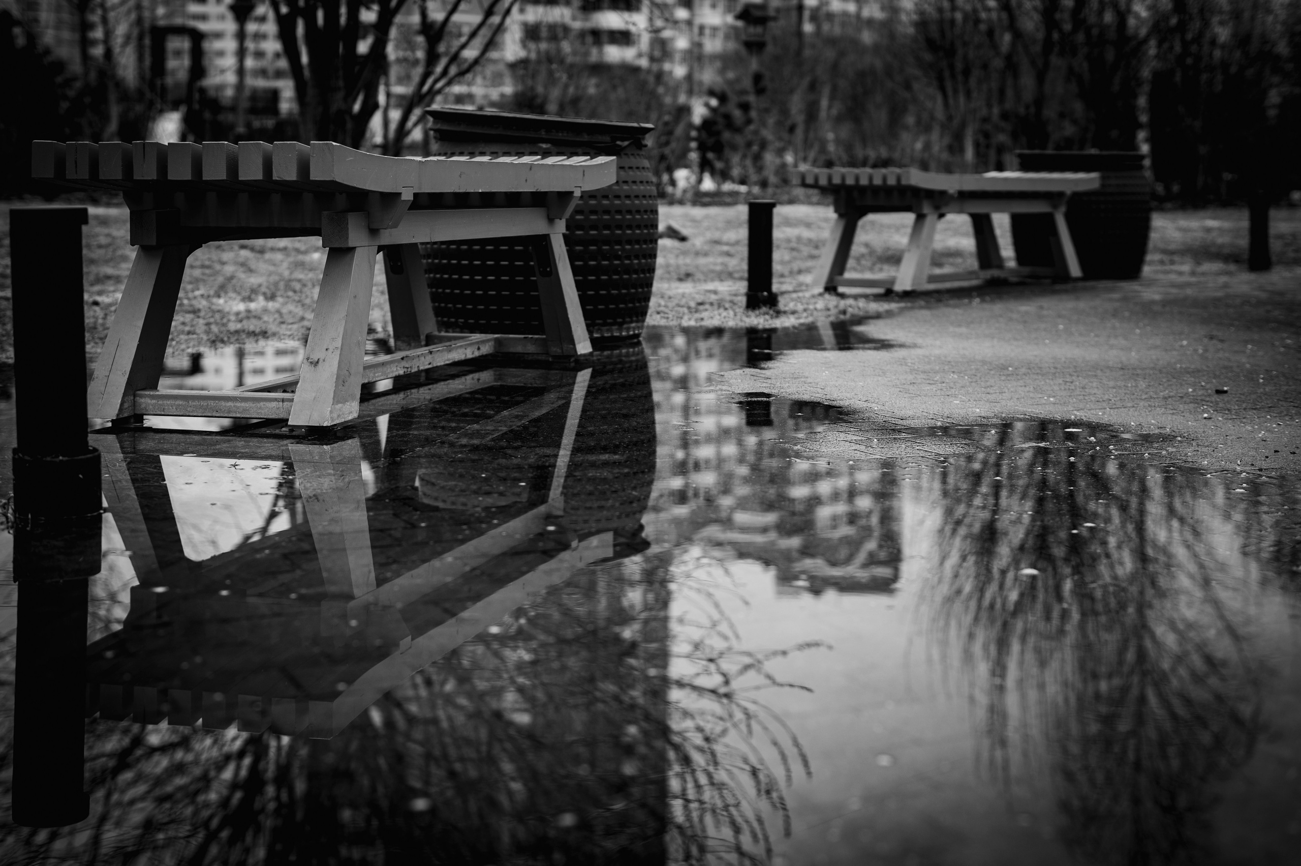 Фотопрогулка апрель 2022. Фотограф Роман Адлер