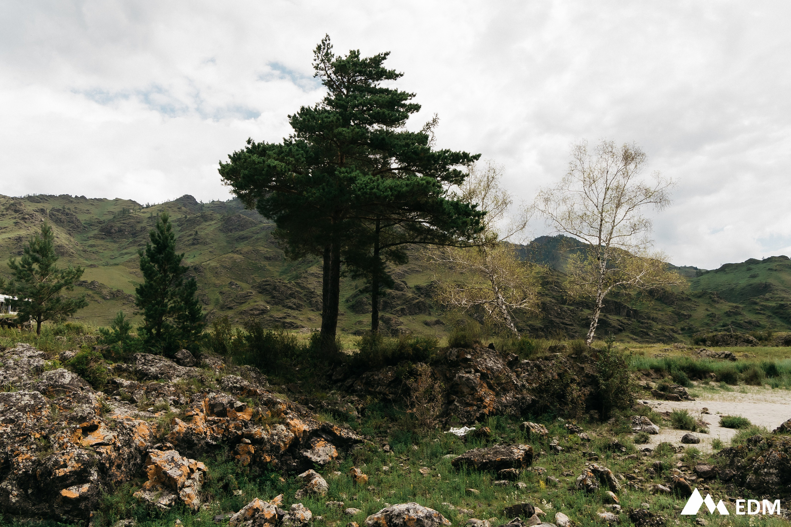 EDM2025. Фотограф Новосибирск Вероника Вишневская