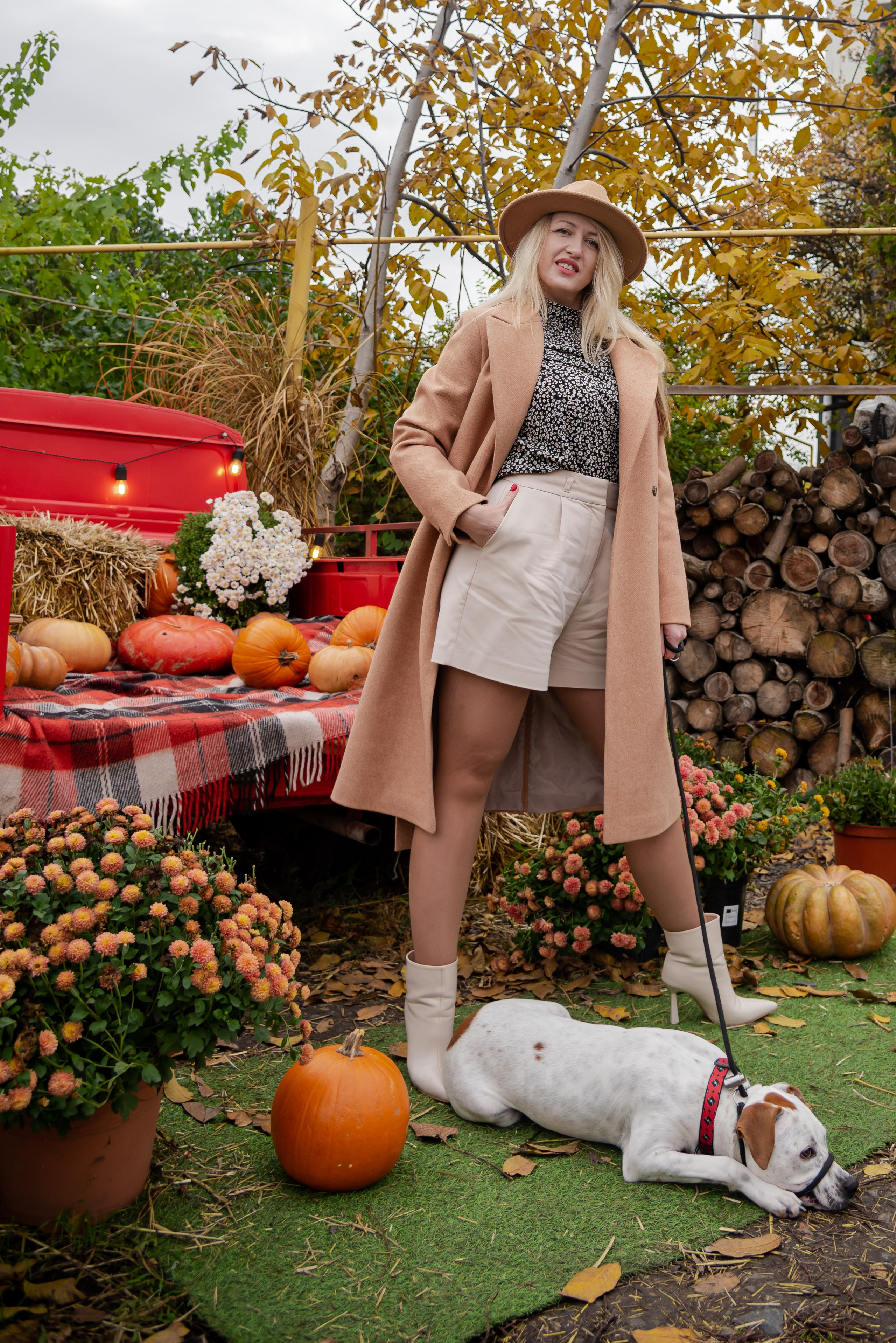 Авакадо. Фотограф Галина Нестерова