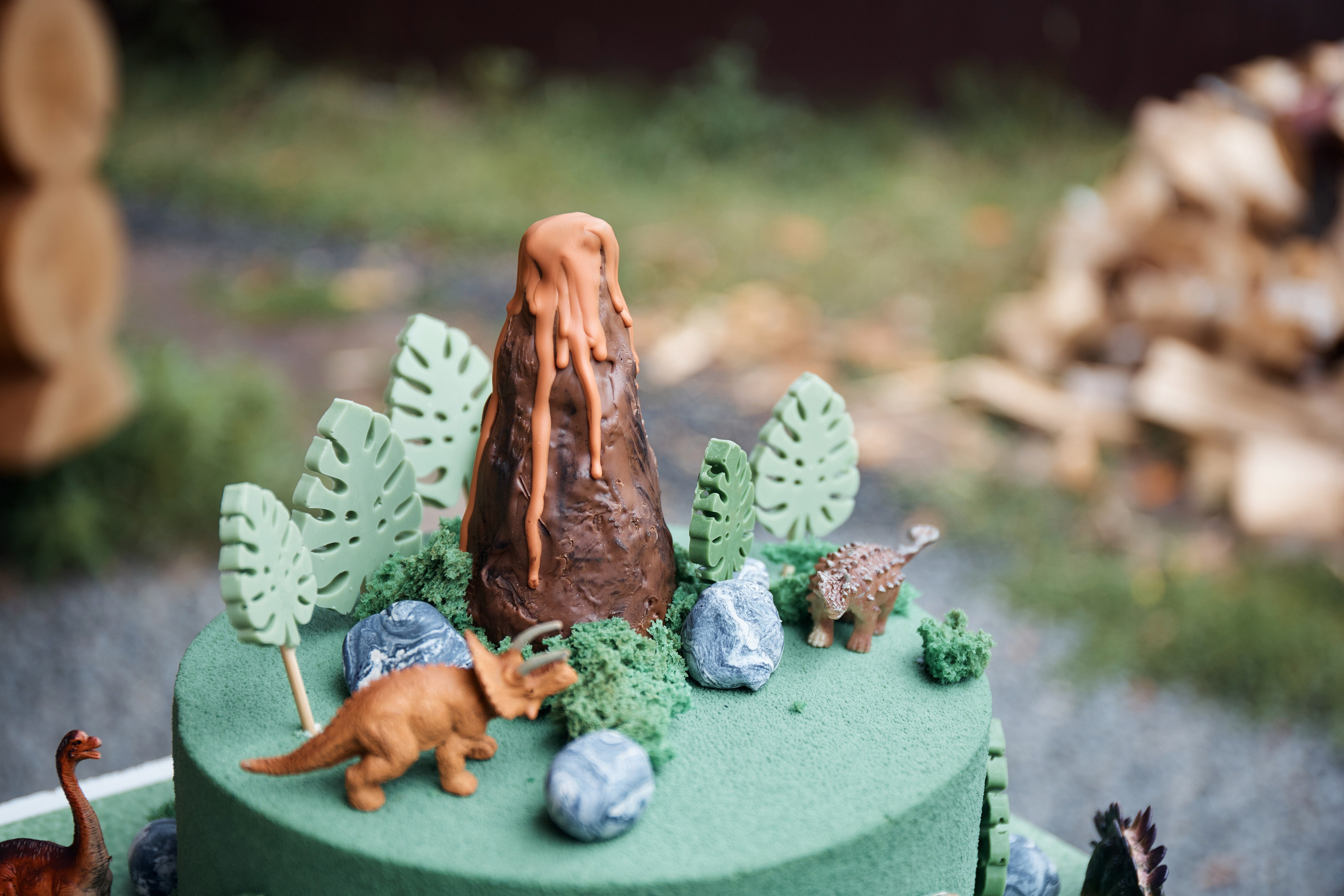 Дино-праздник. Детский и семейный фотограф Шемарова Ольга