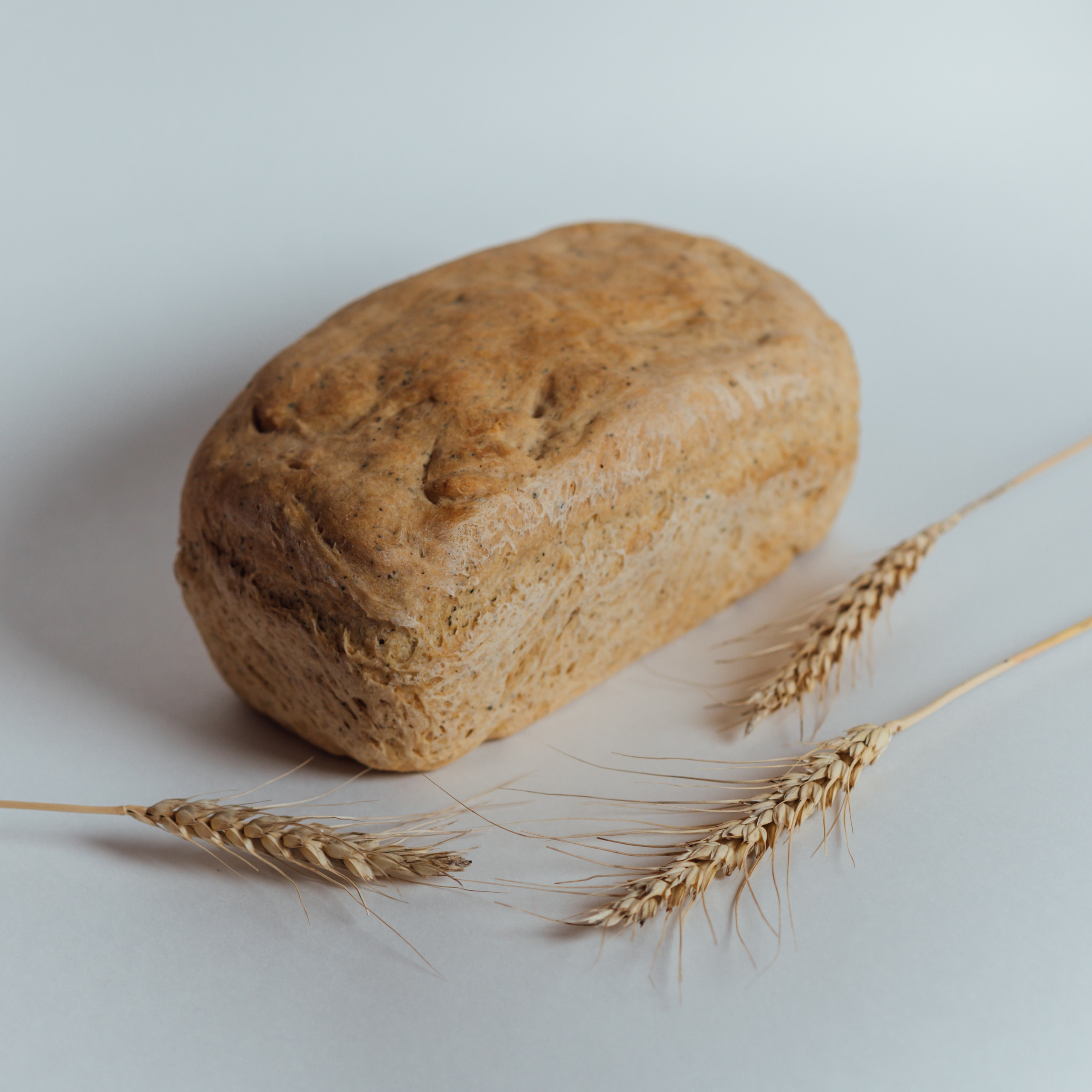 Контент съёмка. Визуал. Портретный, семейный, свадебный фотограф. Бизнес, контент съёмка. Тула