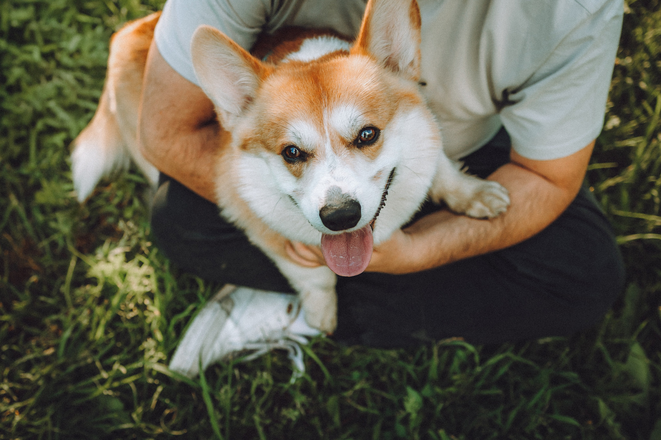 Вирджик и его семья