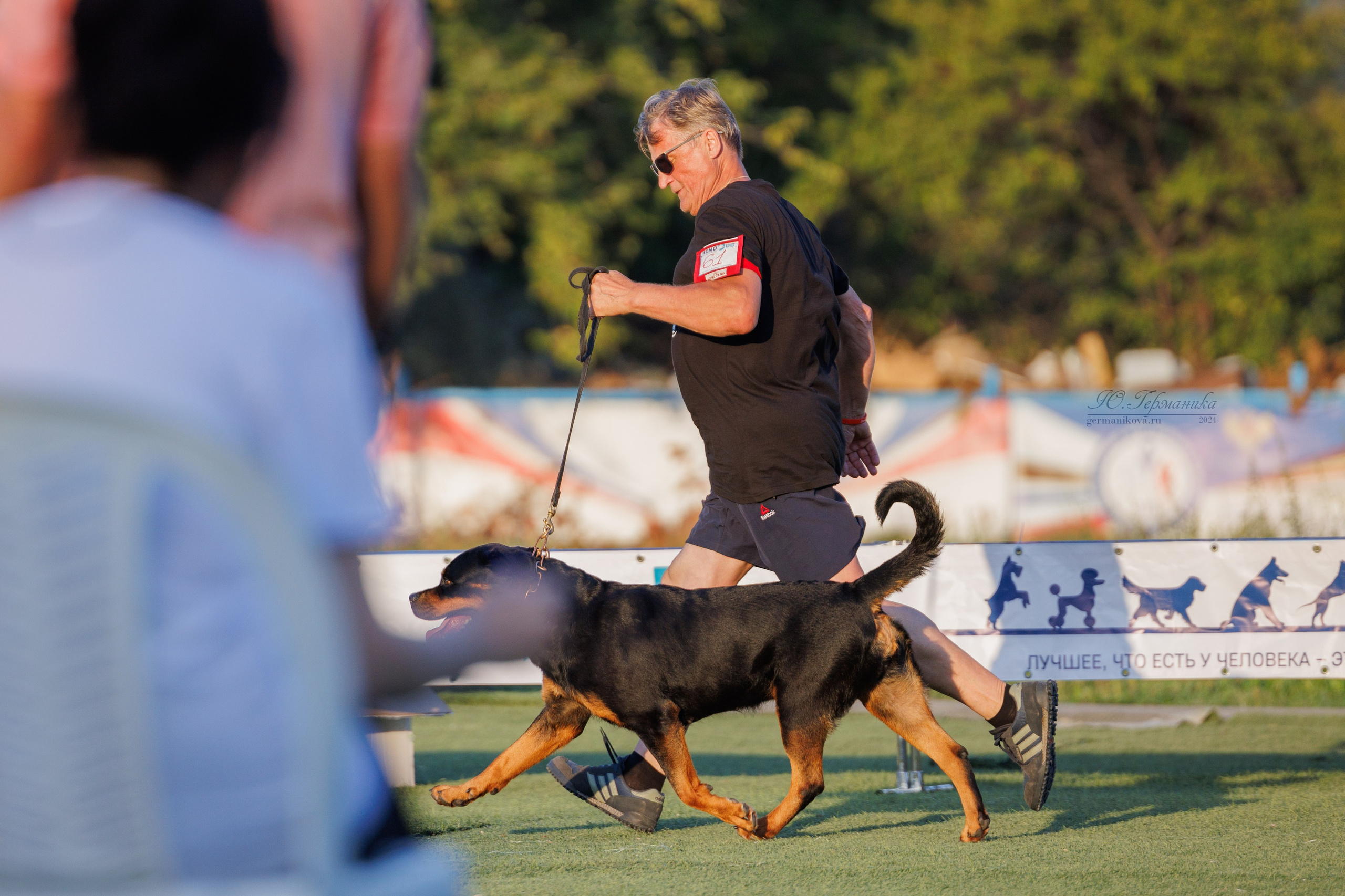 Анапа ротвейлеры 14-15.09.2024. Фотограф-анималист Юлия Германика