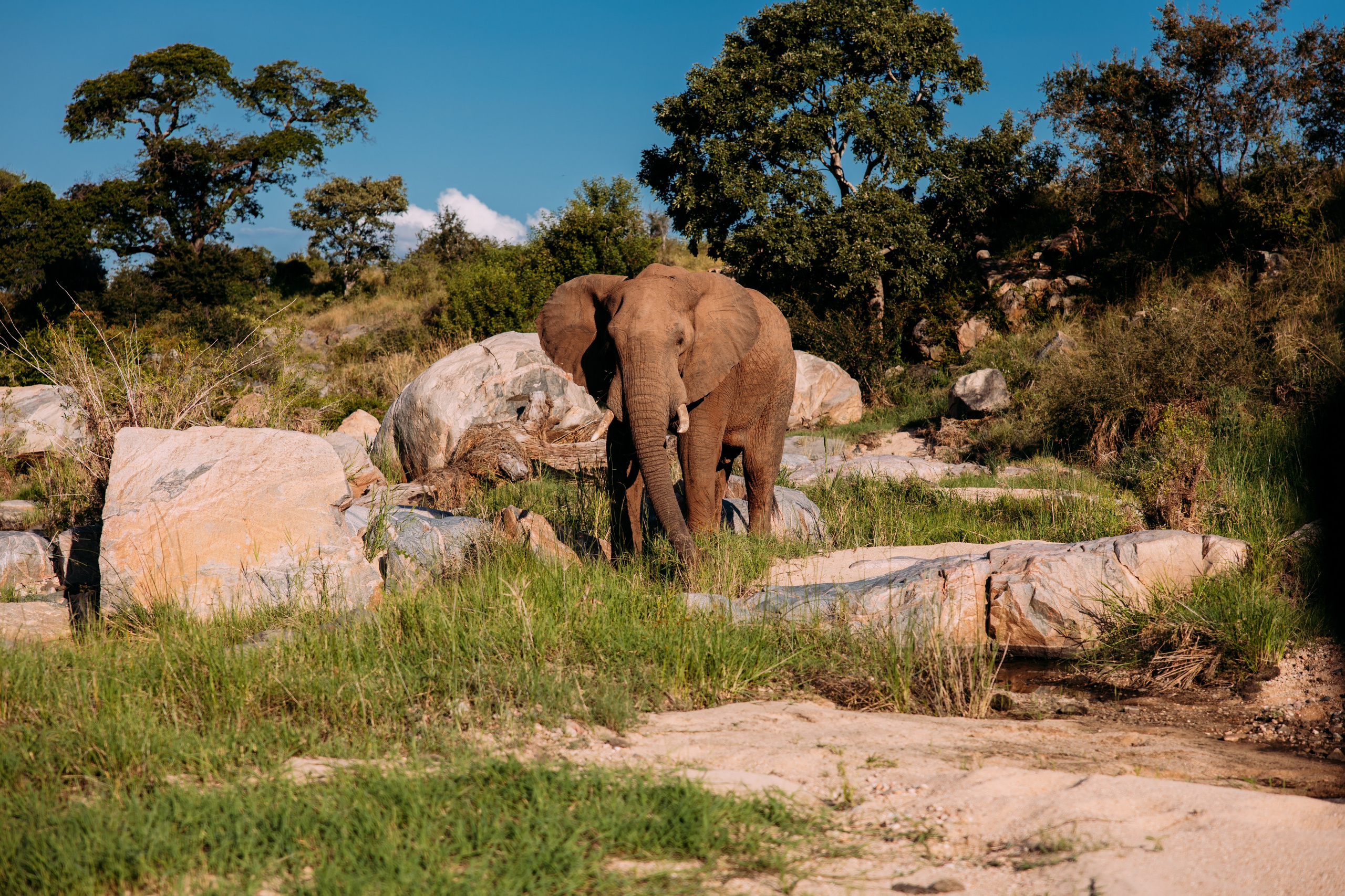 ФОТО ТУРЫ ПО МИРУ. Фотограф Марина Аблаева-Кожедуб