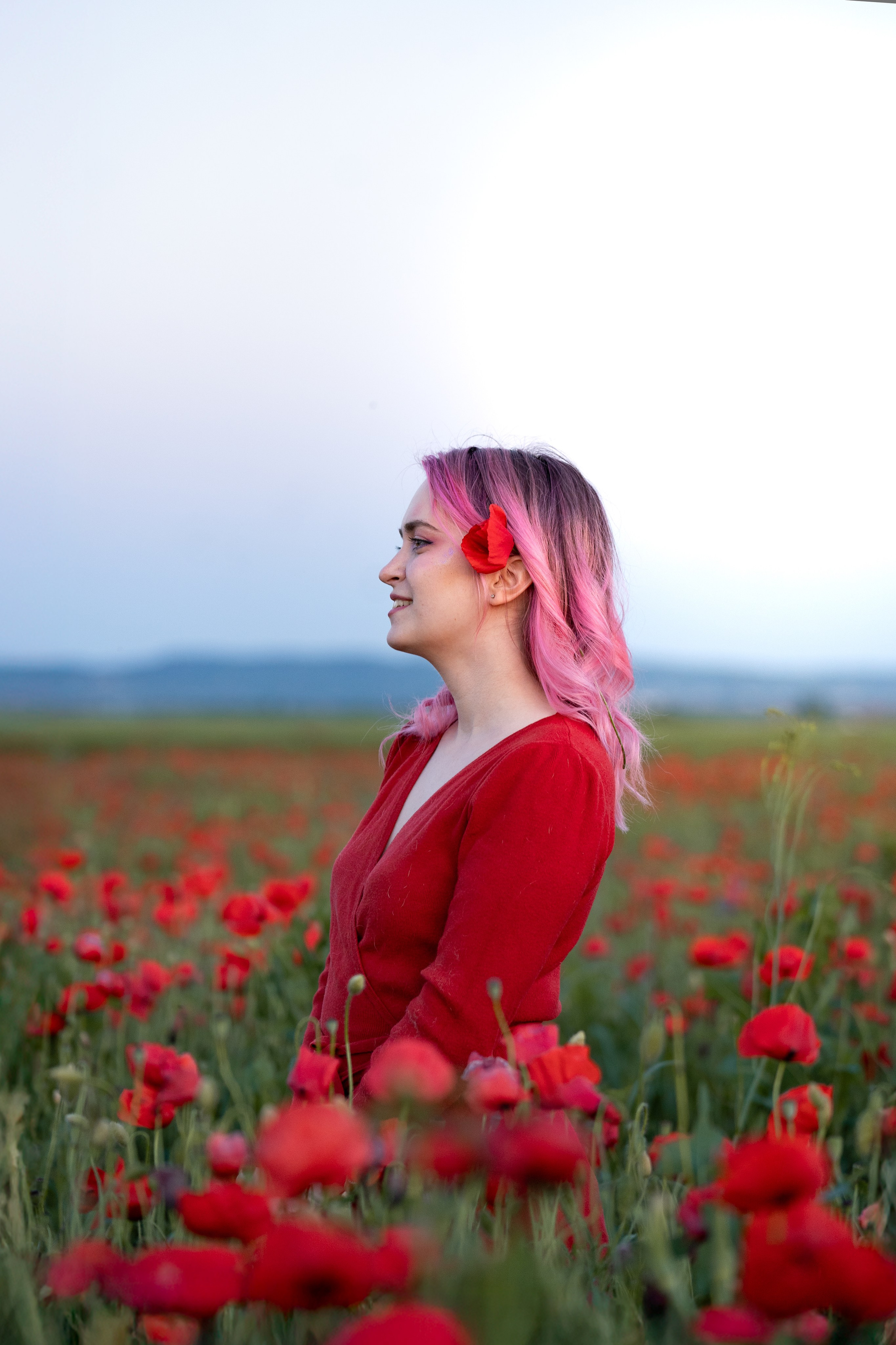 Маковое поле. Фотограф анималист